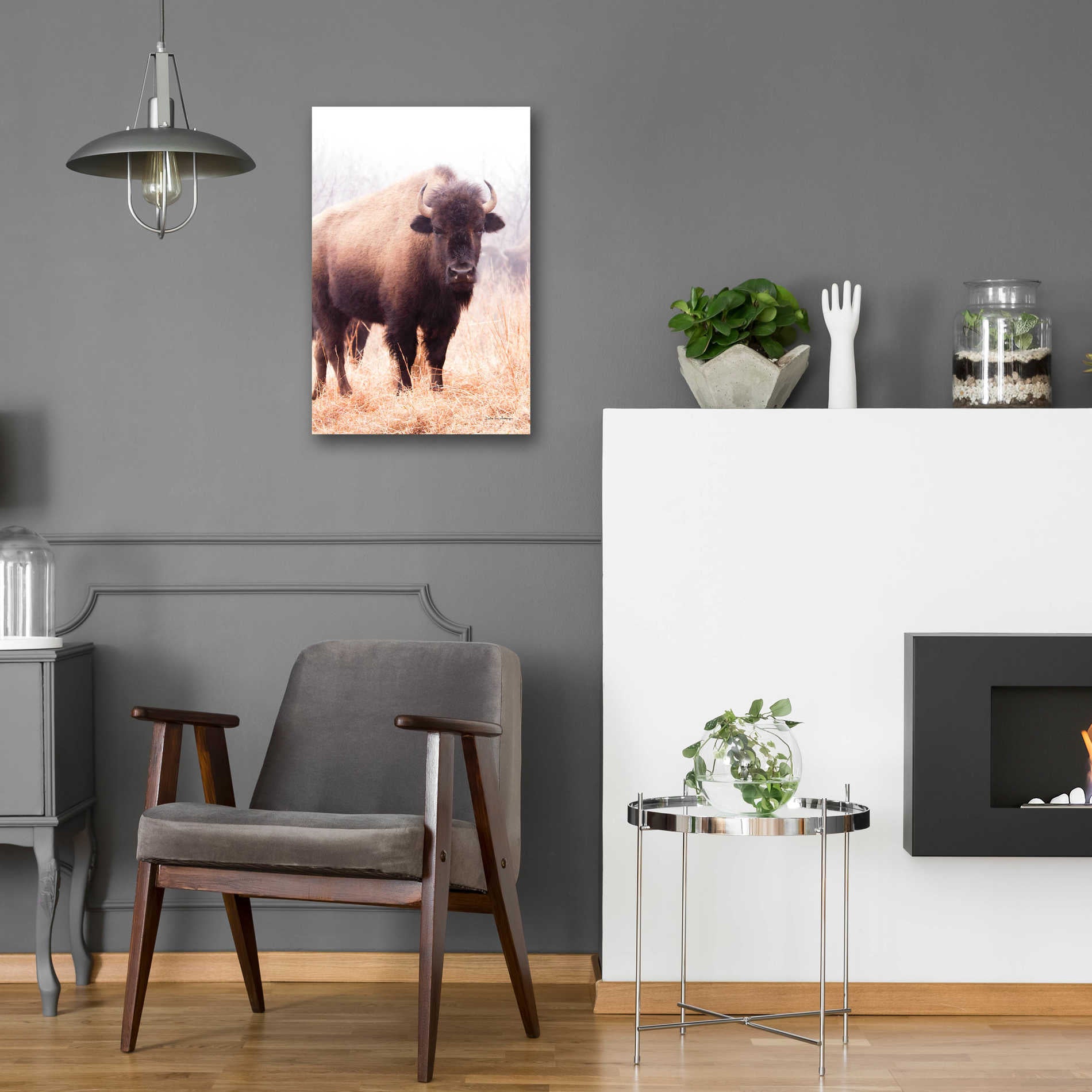 Epic Art 'American Bison V' by Debra Van Swearingen, Acrylic Glass Wall Art,16x24