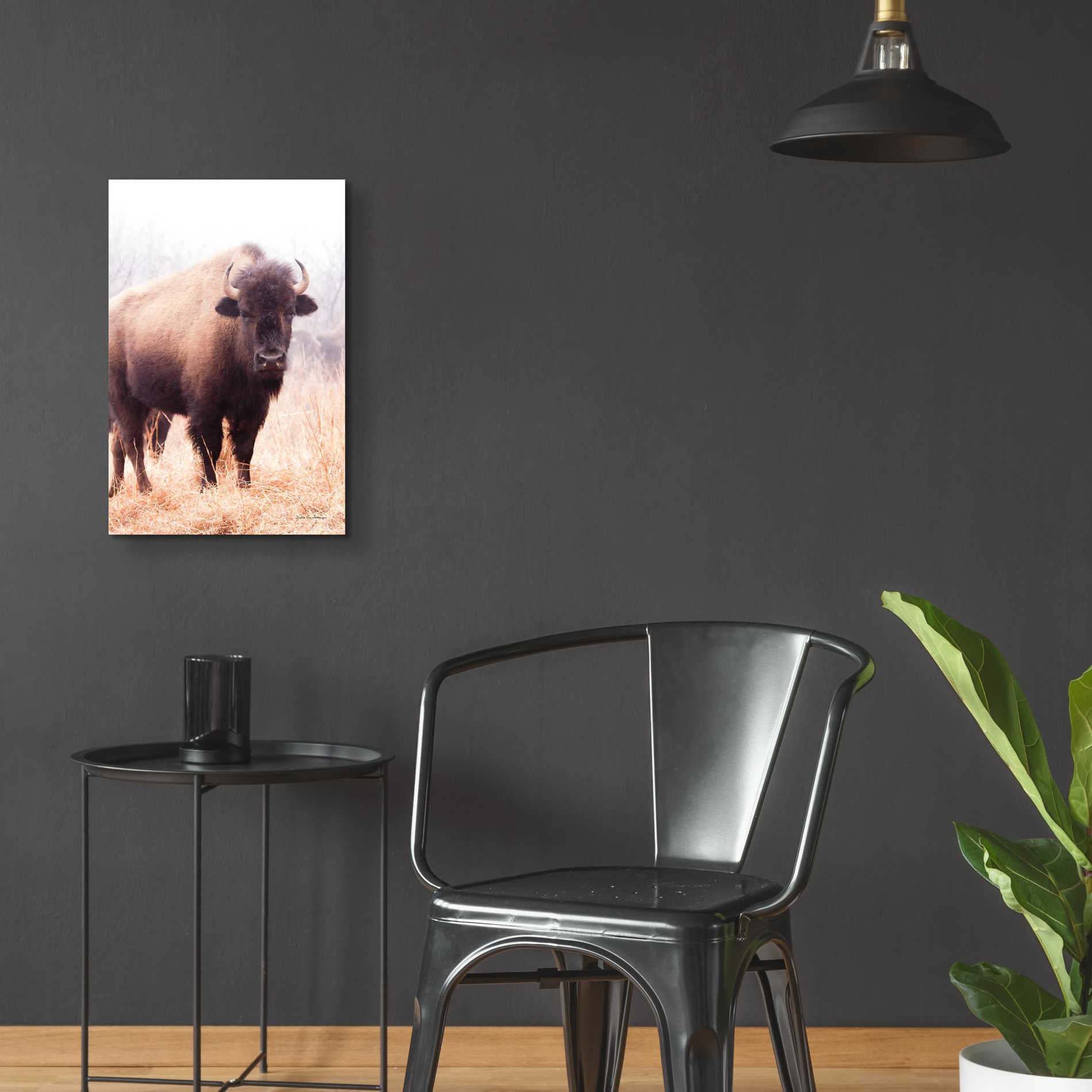 Epic Art 'American Bison V' by Debra Van Swearingen, Acrylic Glass Wall Art,16x24