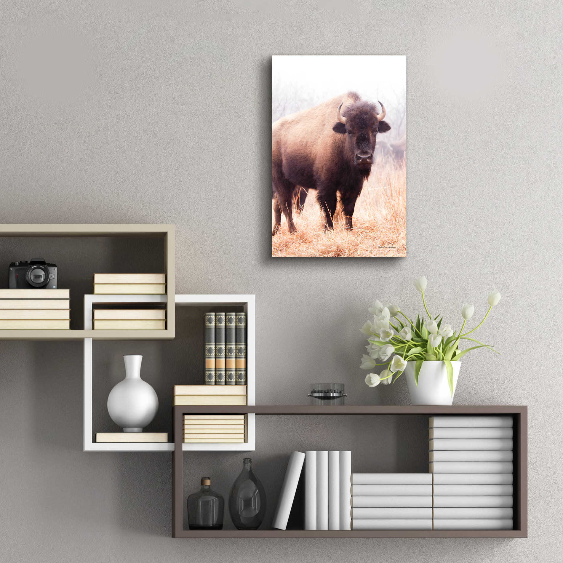 Epic Art 'American Bison V' by Debra Van Swearingen, Acrylic Glass Wall Art,16x24