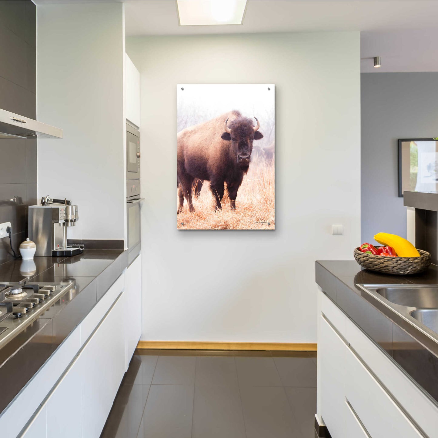 Epic Art 'American Bison V' by Debra Van Swearingen, Acrylic Glass Wall Art,24x36