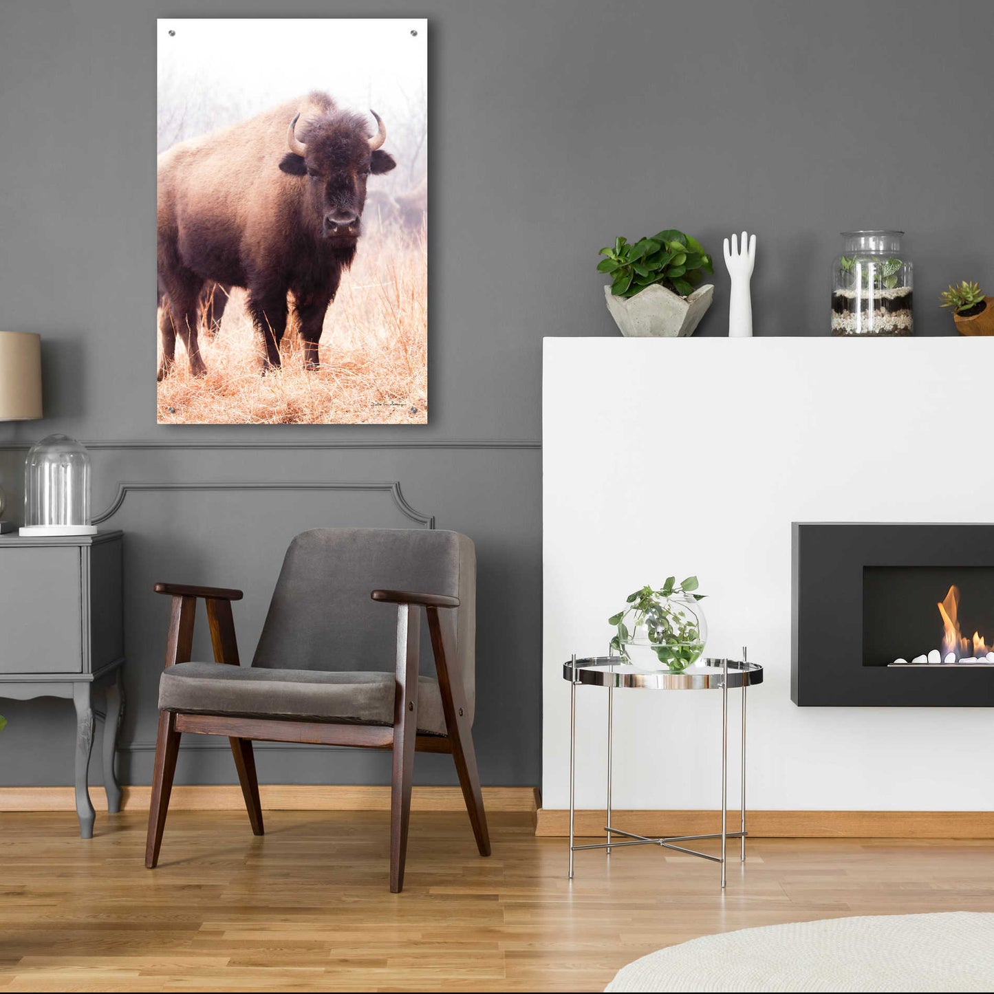 Epic Art 'American Bison V' by Debra Van Swearingen, Acrylic Glass Wall Art,24x36