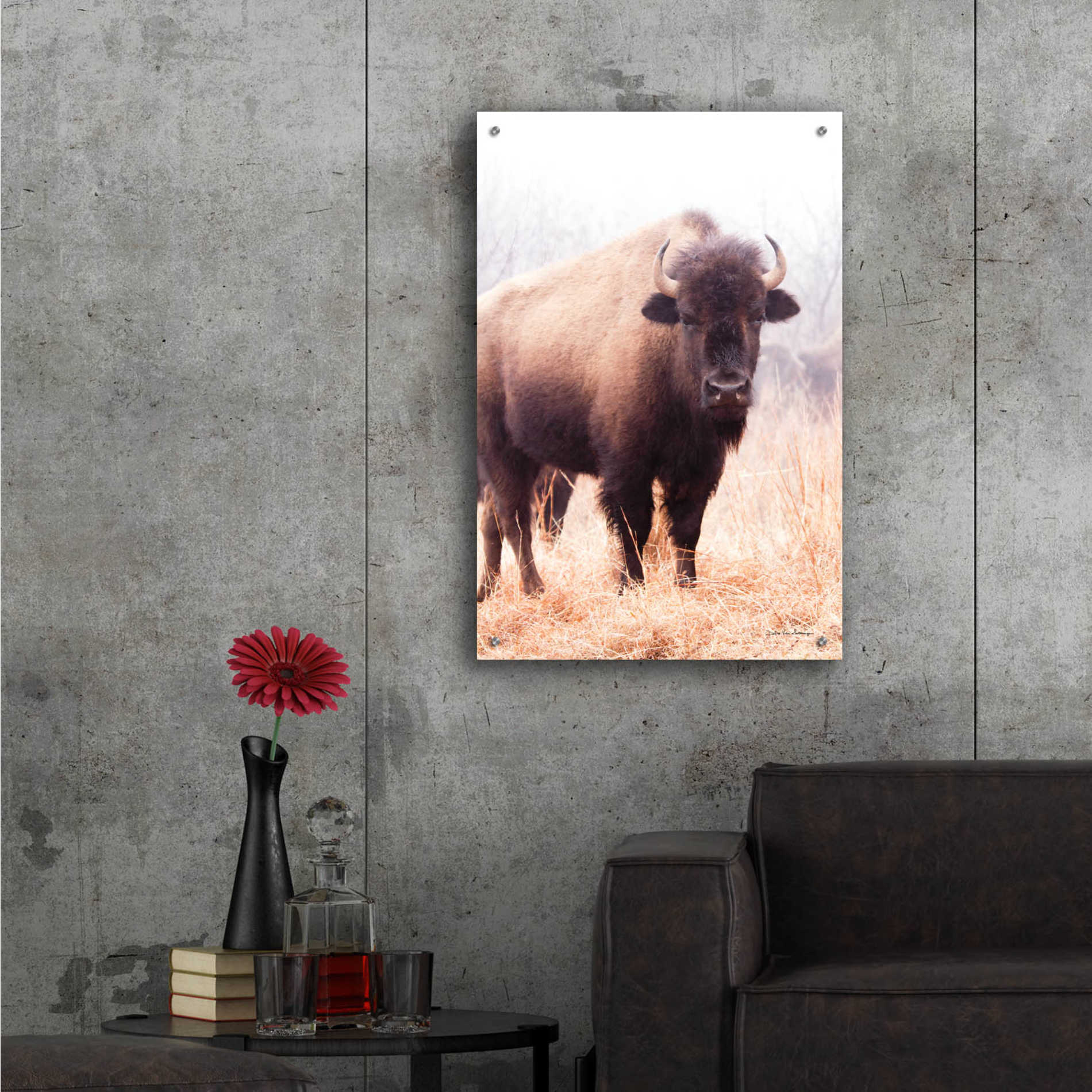 Epic Art 'American Bison V' by Debra Van Swearingen, Acrylic Glass Wall Art,24x36