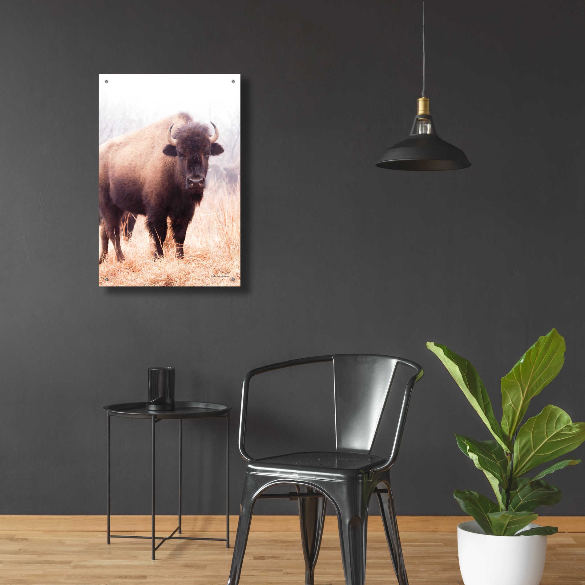 Epic Art 'American Bison V' by Debra Van Swearingen, Acrylic Glass Wall Art,24x36