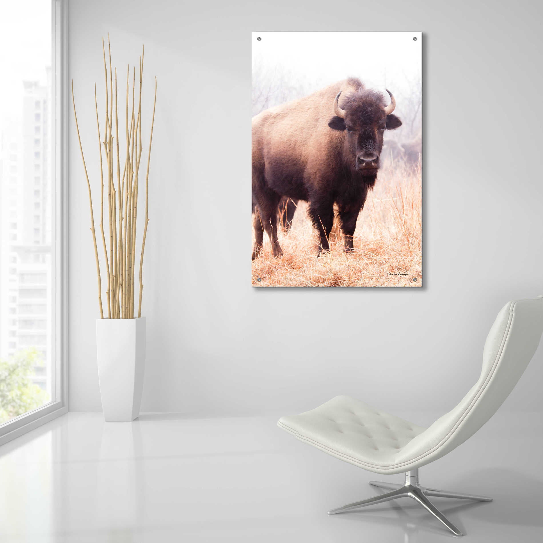 Epic Art 'American Bison V' by Debra Van Swearingen, Acrylic Glass Wall Art,24x36