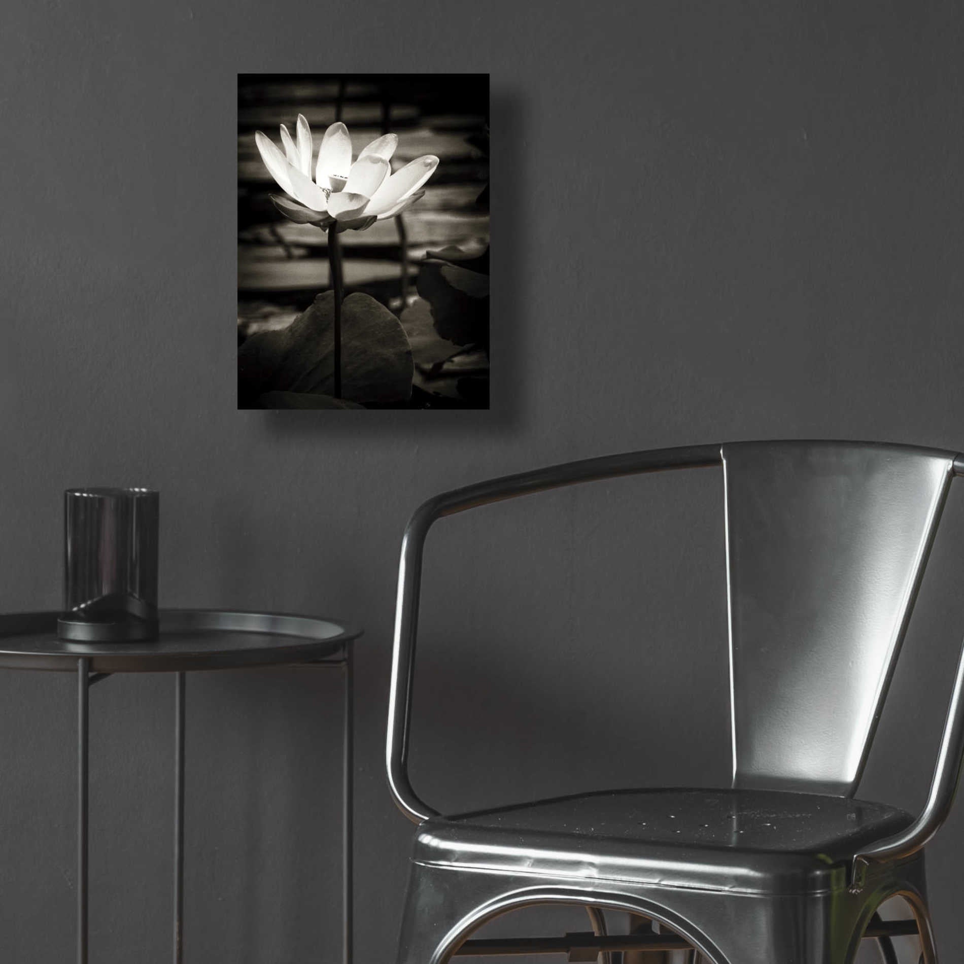 Epic Art 'Lotus Flower VIII' by Debra Van Swearingen, Acrylic Glass Wall Art,12x16