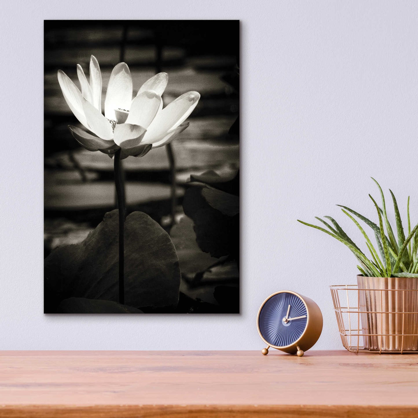 Epic Art 'Lotus Flower VIII' by Debra Van Swearingen, Acrylic Glass Wall Art,12x16