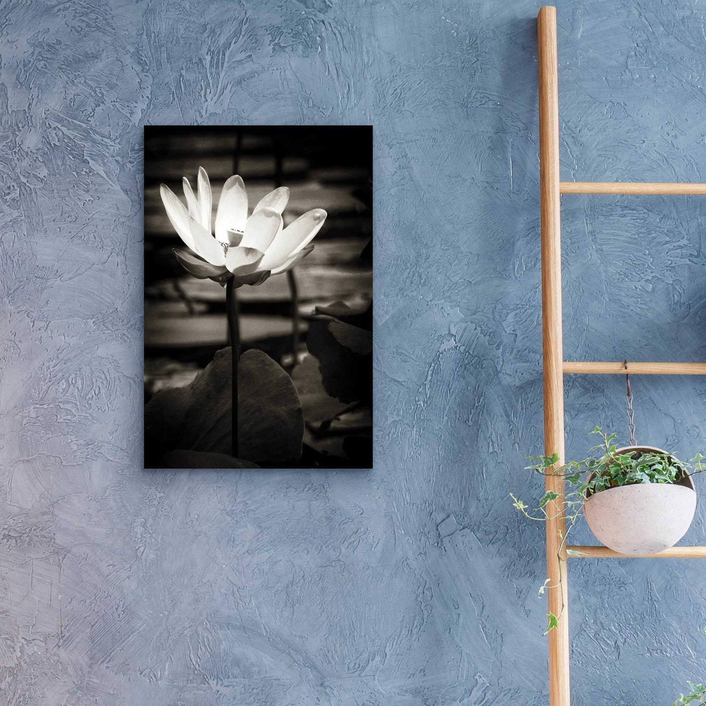 Epic Art 'Lotus Flower VIII' by Debra Van Swearingen, Acrylic Glass Wall Art,16x24