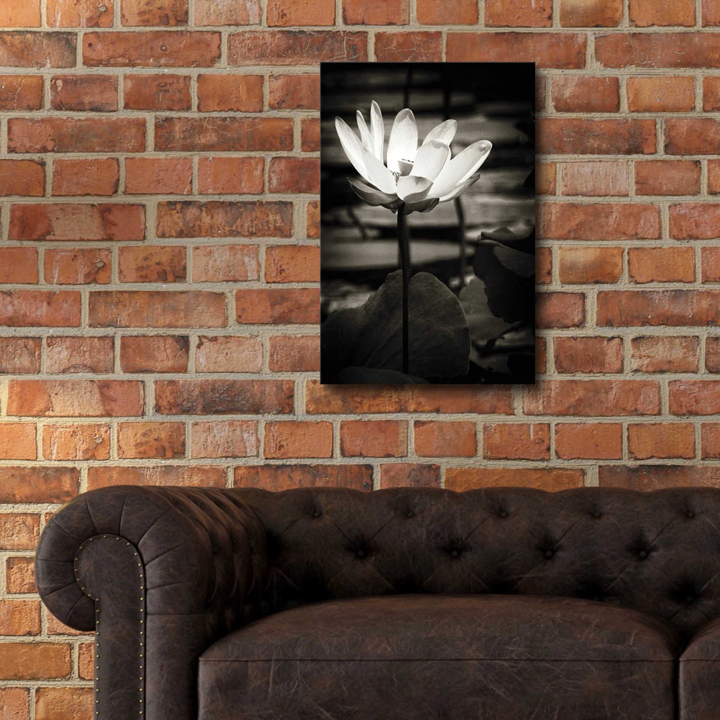 Epic Art 'Lotus Flower VIII' by Debra Van Swearingen, Acrylic Glass Wall Art,16x24