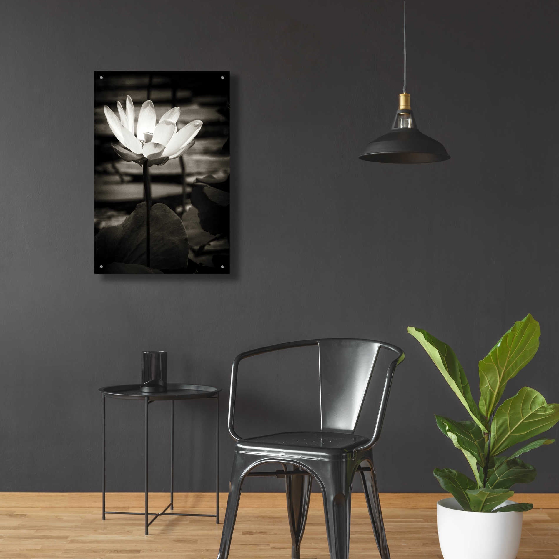 Epic Art 'Lotus Flower VIII' by Debra Van Swearingen, Acrylic Glass Wall Art,24x36