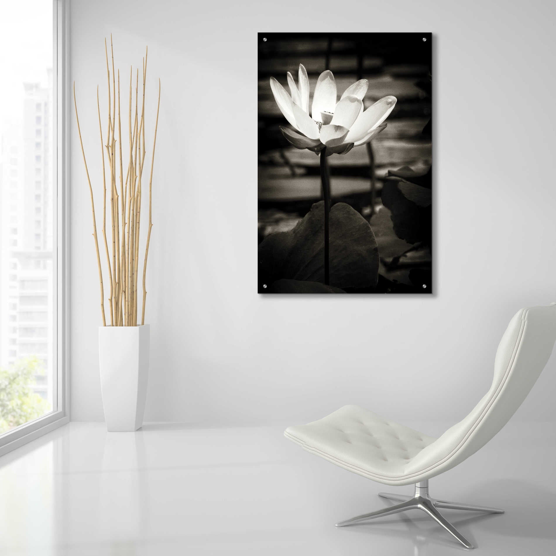 Epic Art 'Lotus Flower VIII' by Debra Van Swearingen, Acrylic Glass Wall Art,24x36