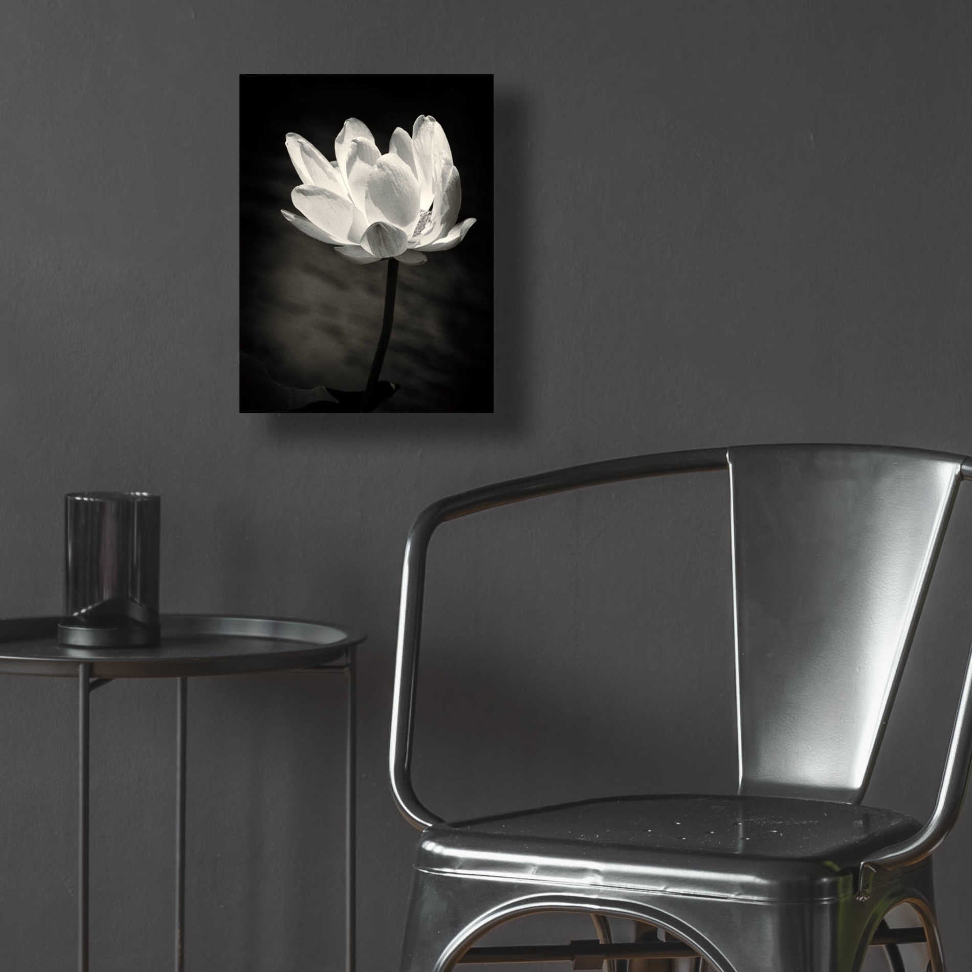 Epic Art 'Lotus Flower X' by Debra Van Swearingen, Acrylic Glass Wall Art,12x16