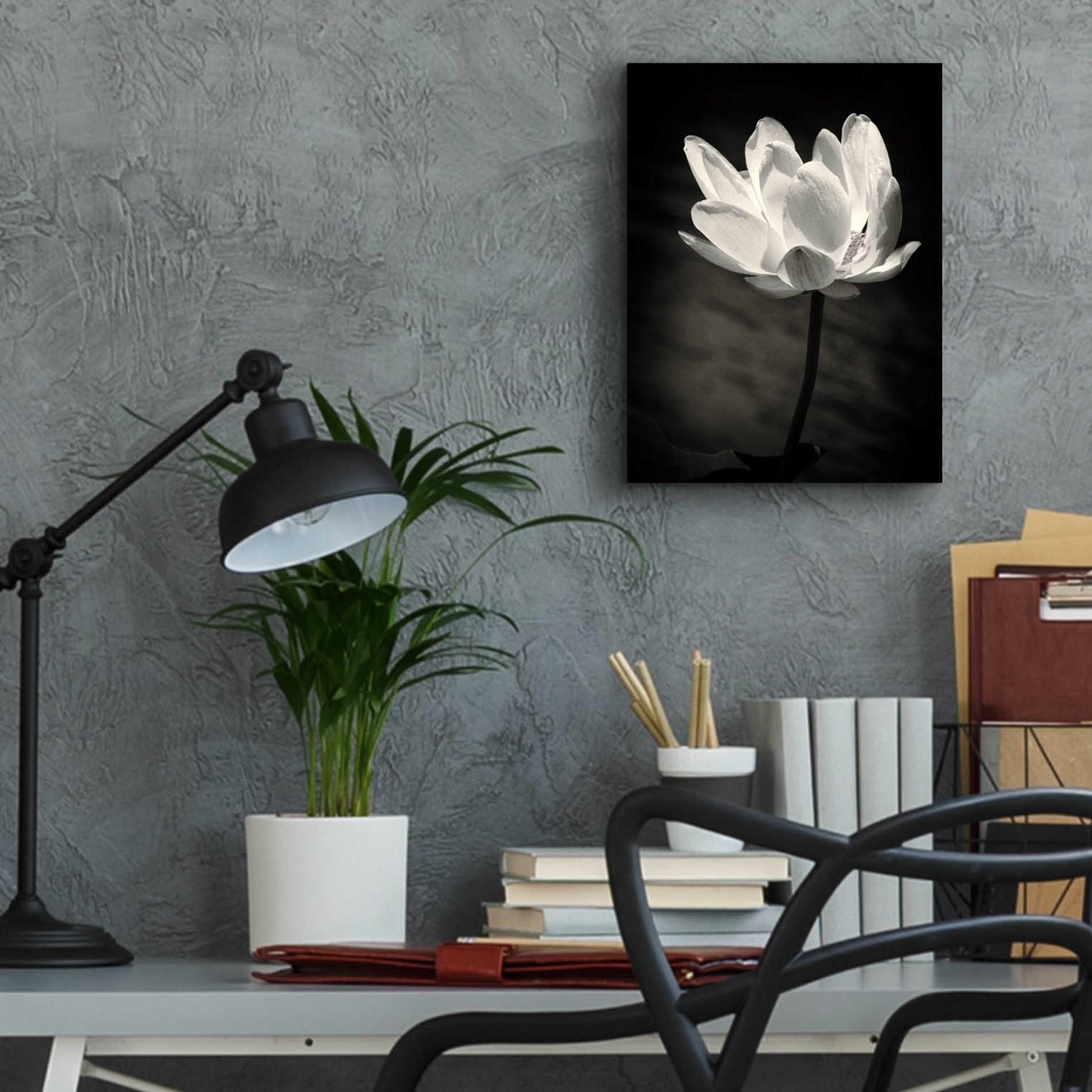 Epic Art 'Lotus Flower X' by Debra Van Swearingen, Acrylic Glass Wall Art,12x16