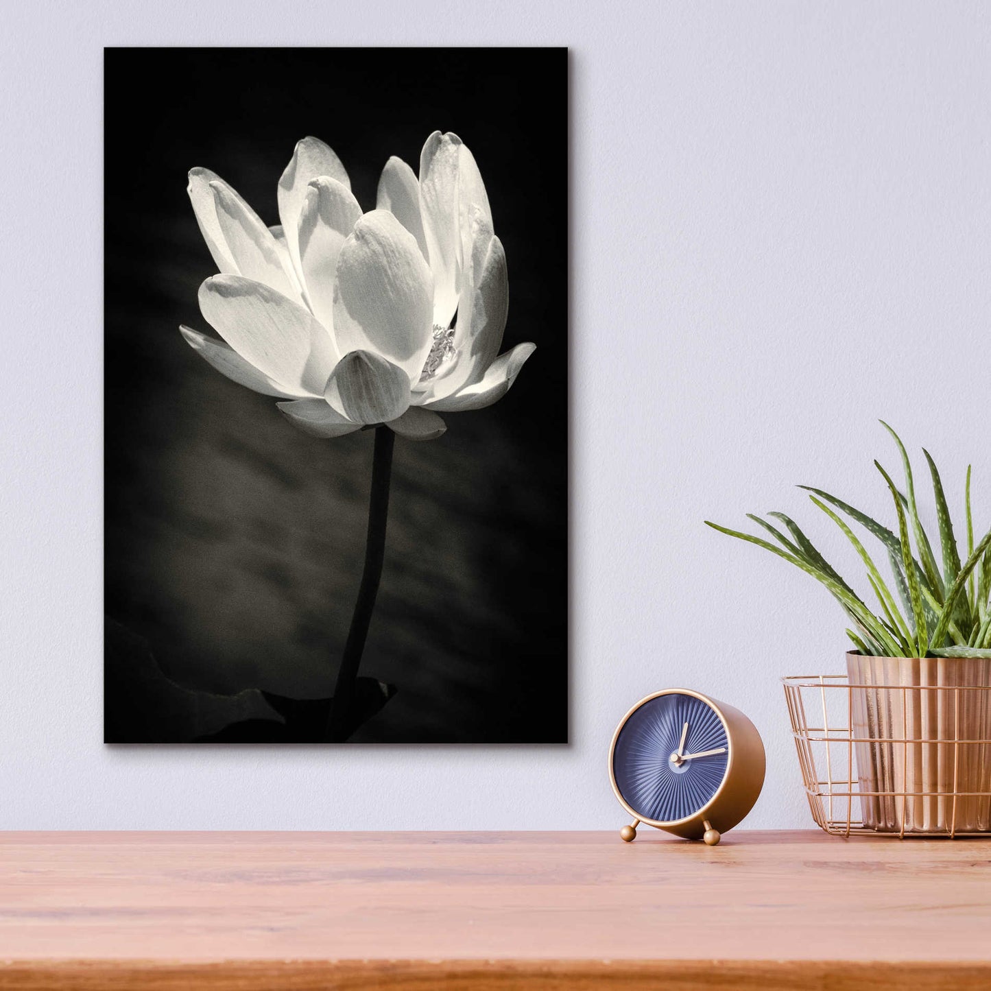 Epic Art 'Lotus Flower X' by Debra Van Swearingen, Acrylic Glass Wall Art,12x16