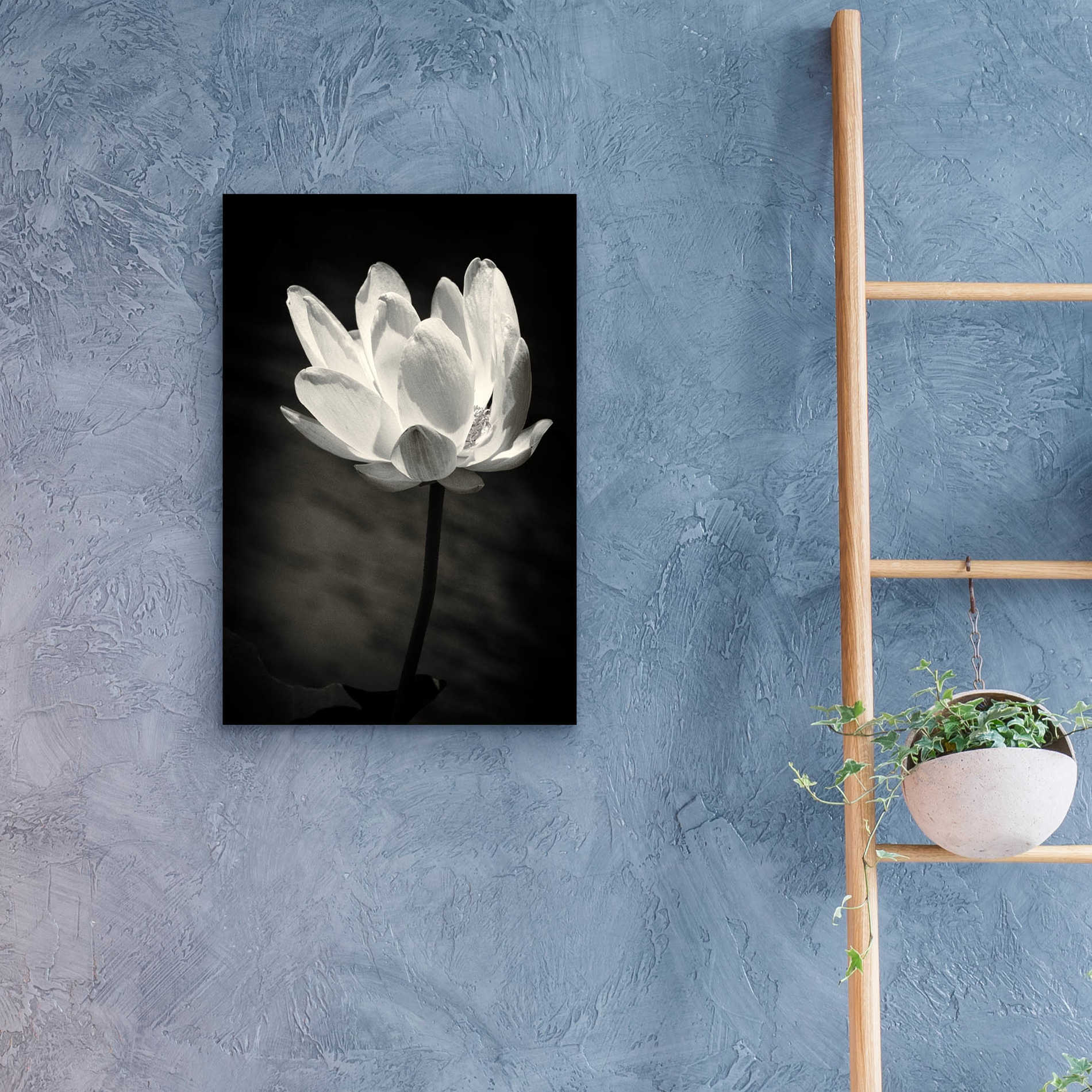 Epic Art 'Lotus Flower X' by Debra Van Swearingen, Acrylic Glass Wall Art,16x24