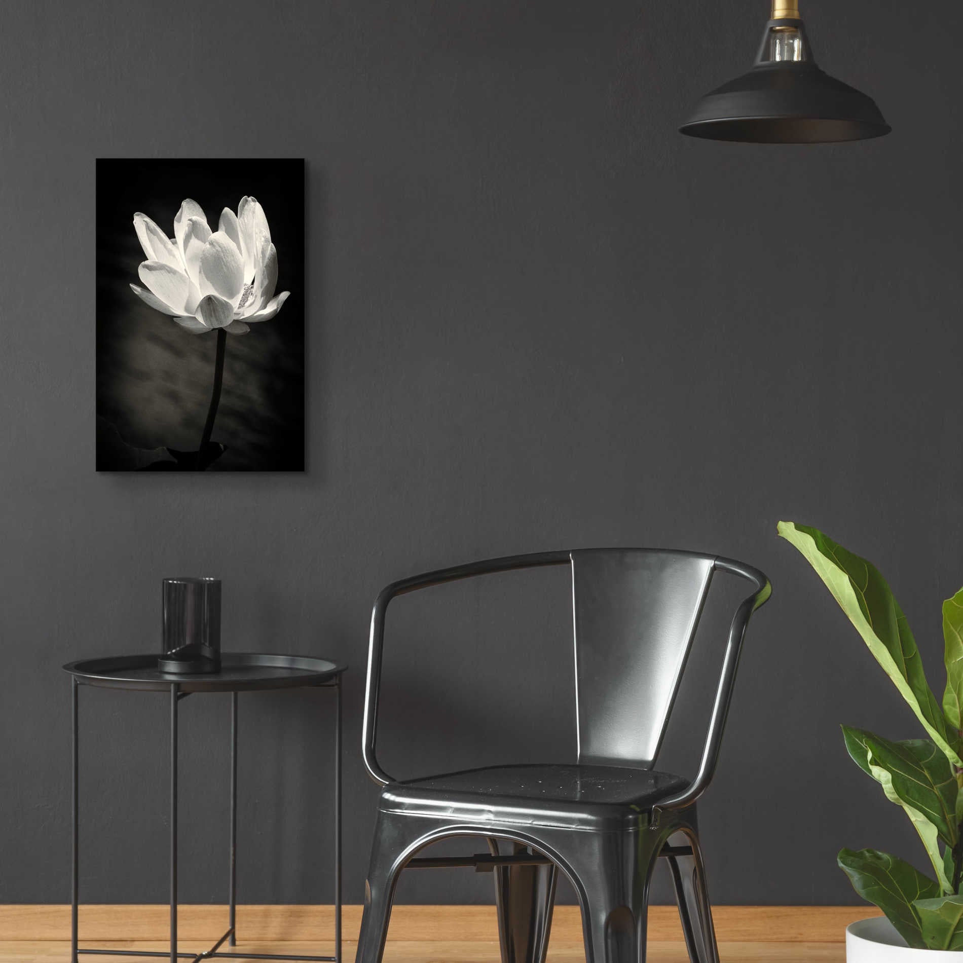 Epic Art 'Lotus Flower X' by Debra Van Swearingen, Acrylic Glass Wall Art,16x24