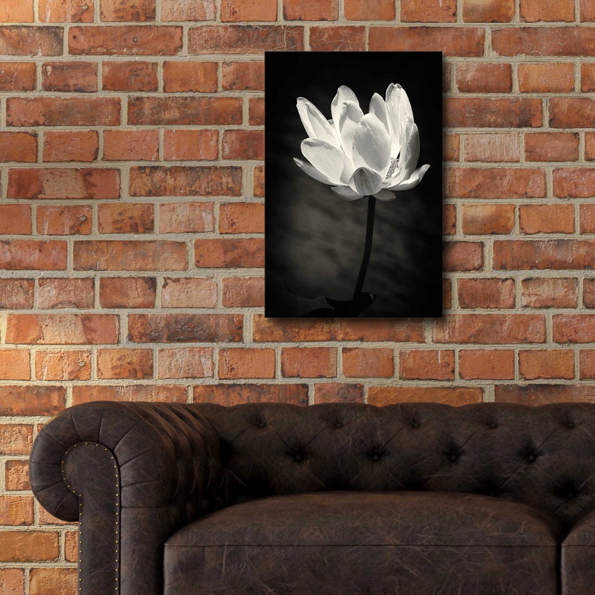 Epic Art 'Lotus Flower X' by Debra Van Swearingen, Acrylic Glass Wall Art,16x24