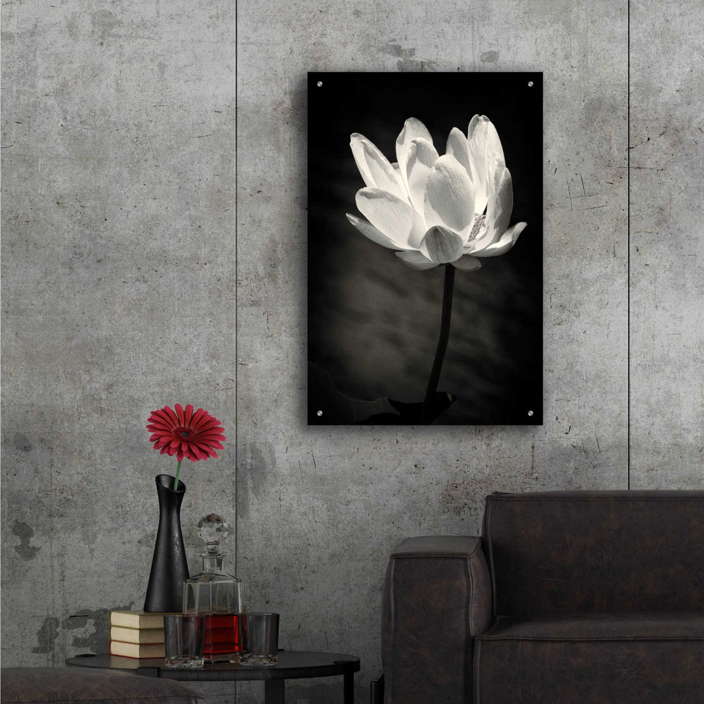 Epic Art 'Lotus Flower X' by Debra Van Swearingen, Acrylic Glass Wall Art,24x36