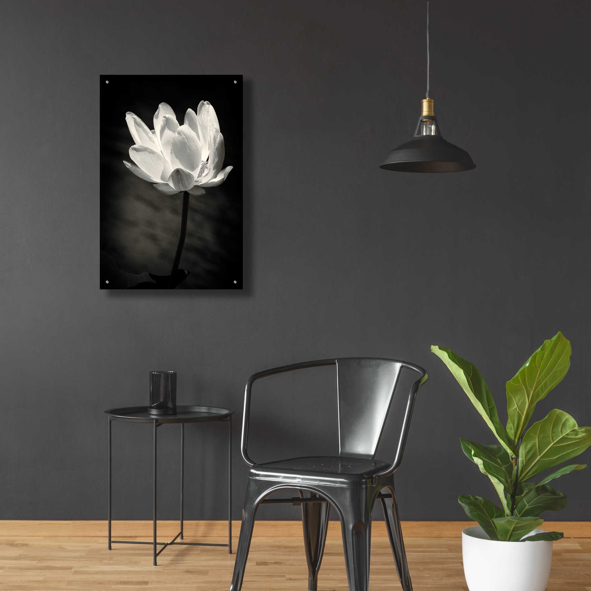 Epic Art 'Lotus Flower X' by Debra Van Swearingen, Acrylic Glass Wall Art,24x36