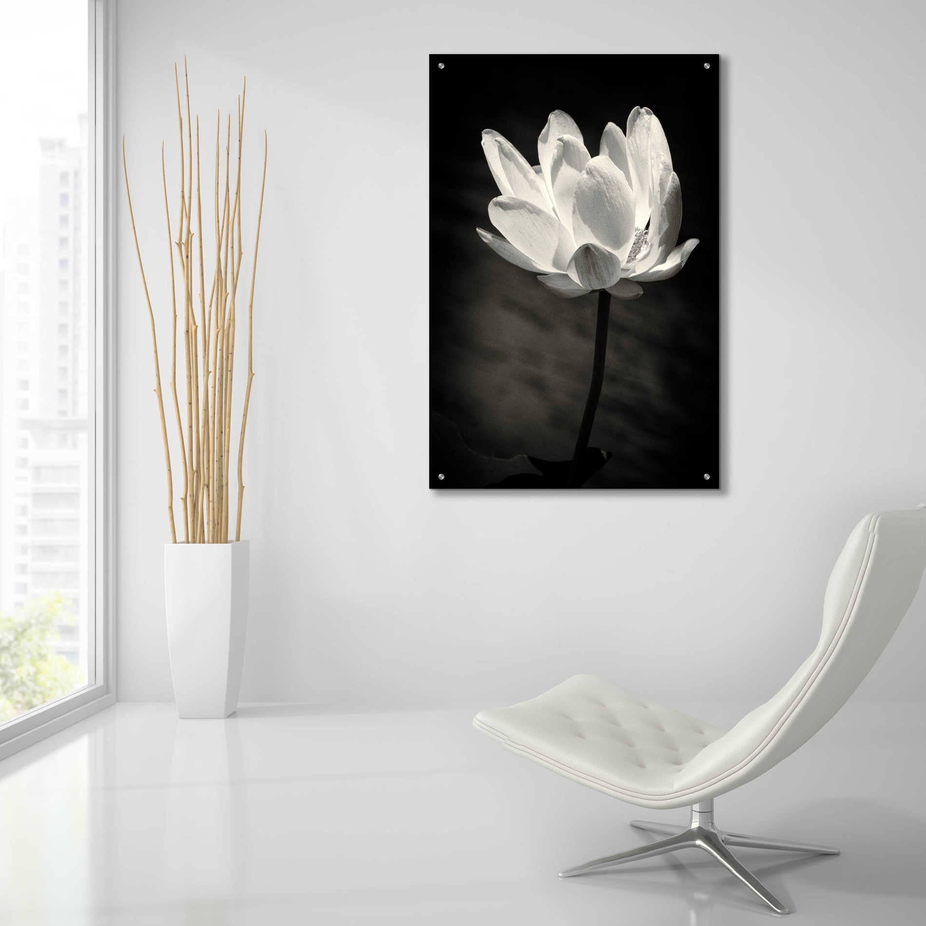 Epic Art 'Lotus Flower X' by Debra Van Swearingen, Acrylic Glass Wall Art,24x36