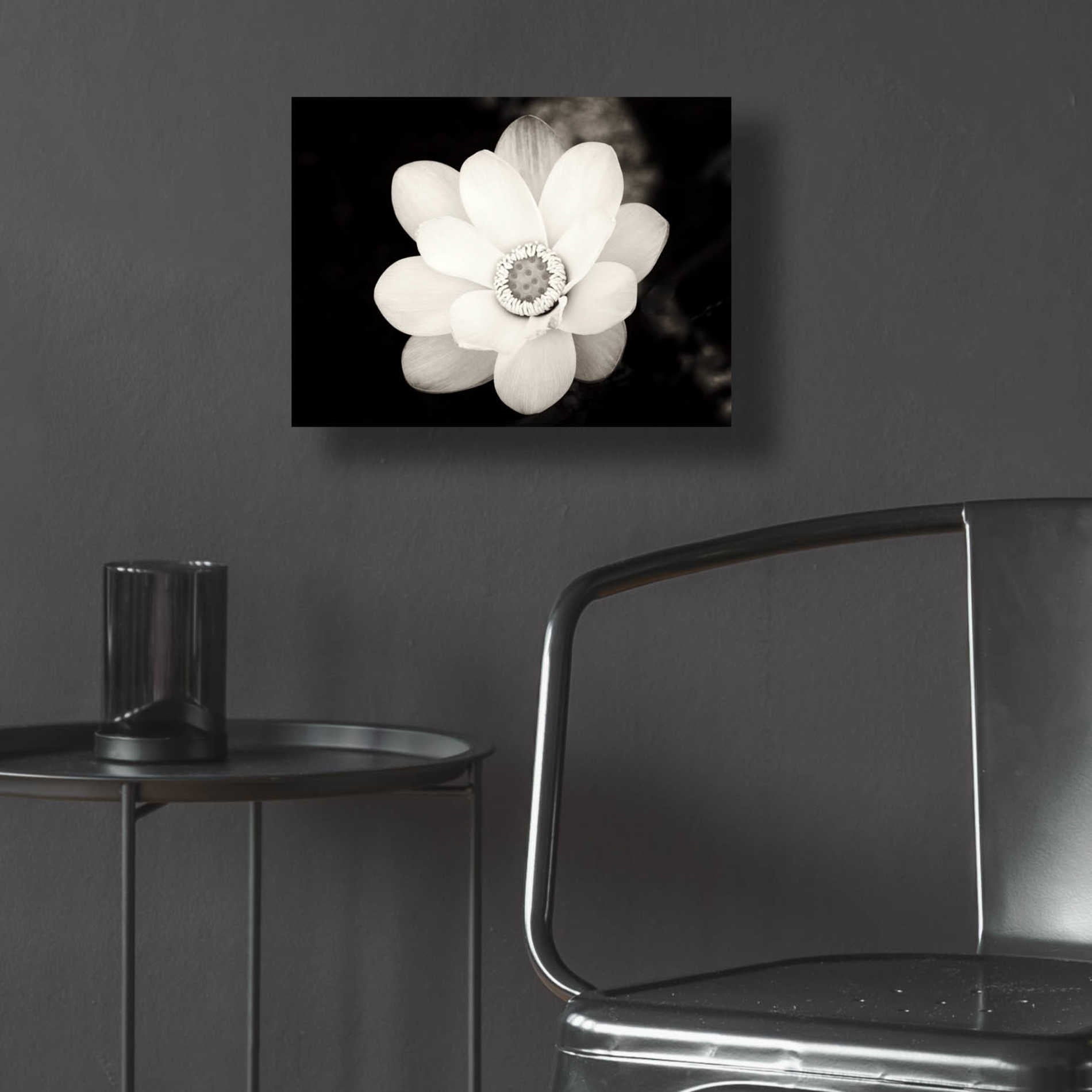 Epic Art 'Lotus Flower III' by Debra Van Swearingen, Acrylic Glass Wall Art,16x12