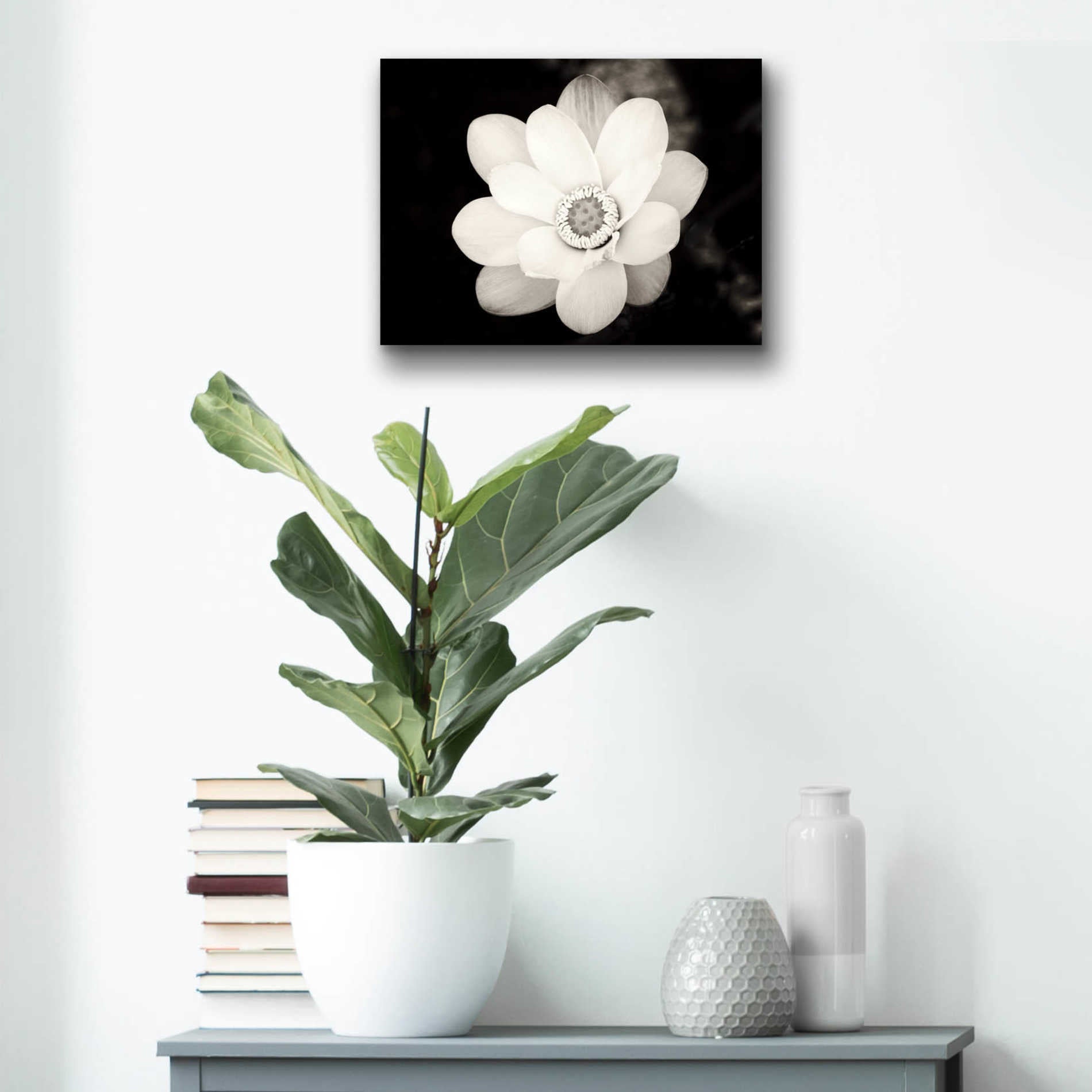 Epic Art 'Lotus Flower III' by Debra Van Swearingen, Acrylic Glass Wall Art,16x12