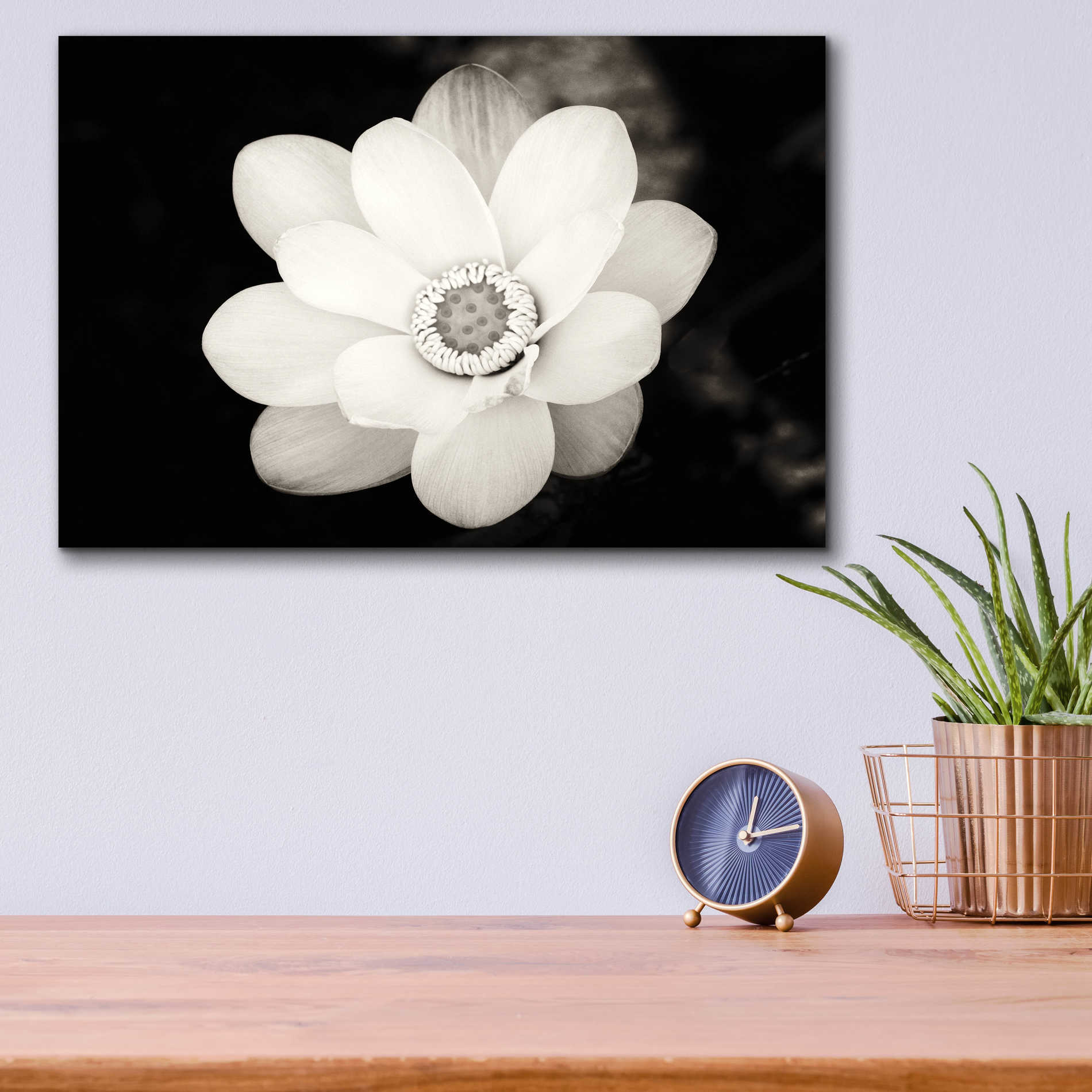 Epic Art 'Lotus Flower III' by Debra Van Swearingen, Acrylic Glass Wall Art,16x12