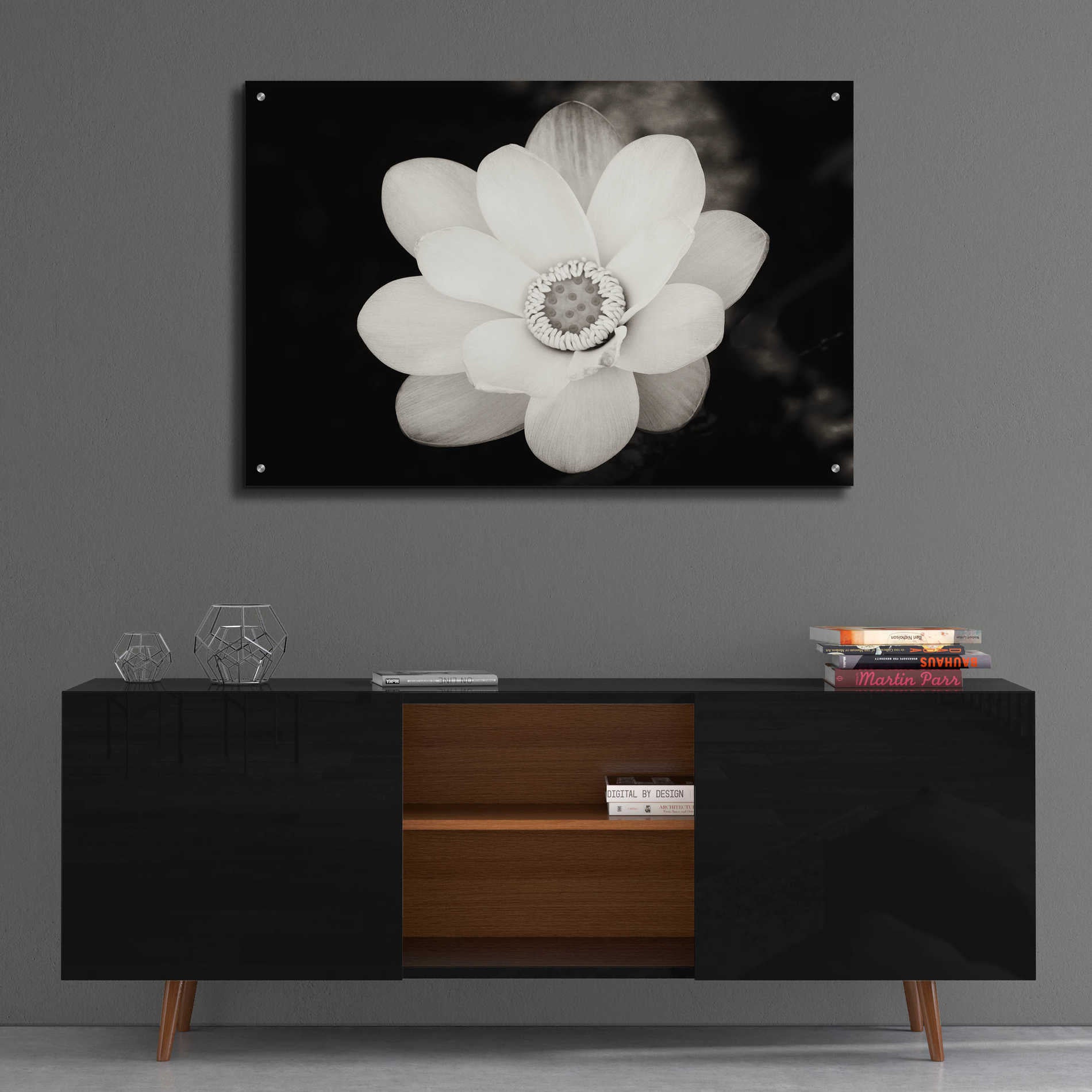 Epic Art 'Lotus Flower III' by Debra Van Swearingen, Acrylic Glass Wall Art,36x24