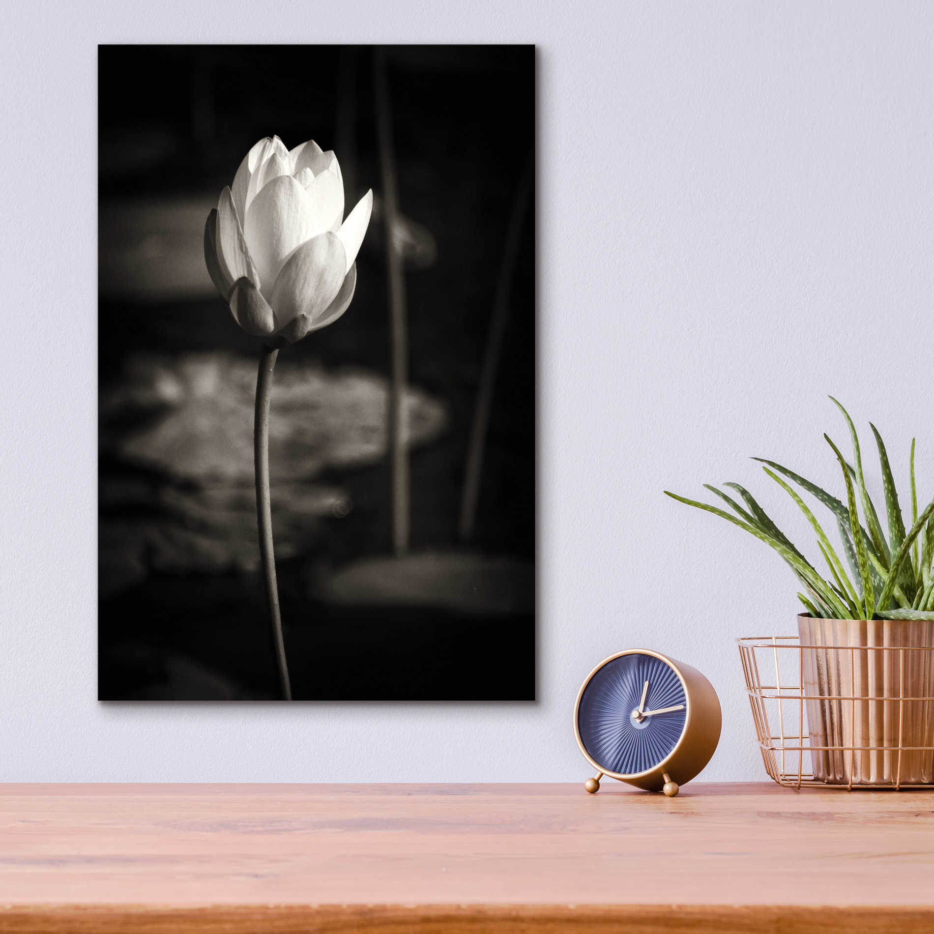 Epic Art 'Lotus Flower VI' by Debra Van Swearingen, Acrylic Glass Wall Art,12x16