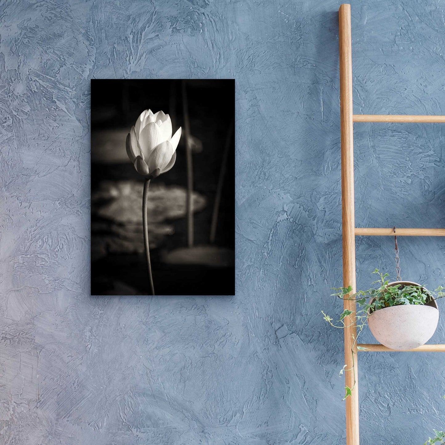 Epic Art 'Lotus Flower VI' by Debra Van Swearingen, Acrylic Glass Wall Art,16x24