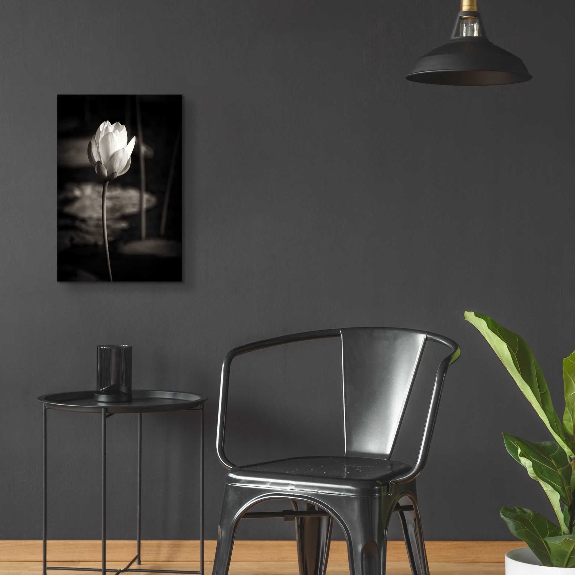 Epic Art 'Lotus Flower VI' by Debra Van Swearingen, Acrylic Glass Wall Art,16x24