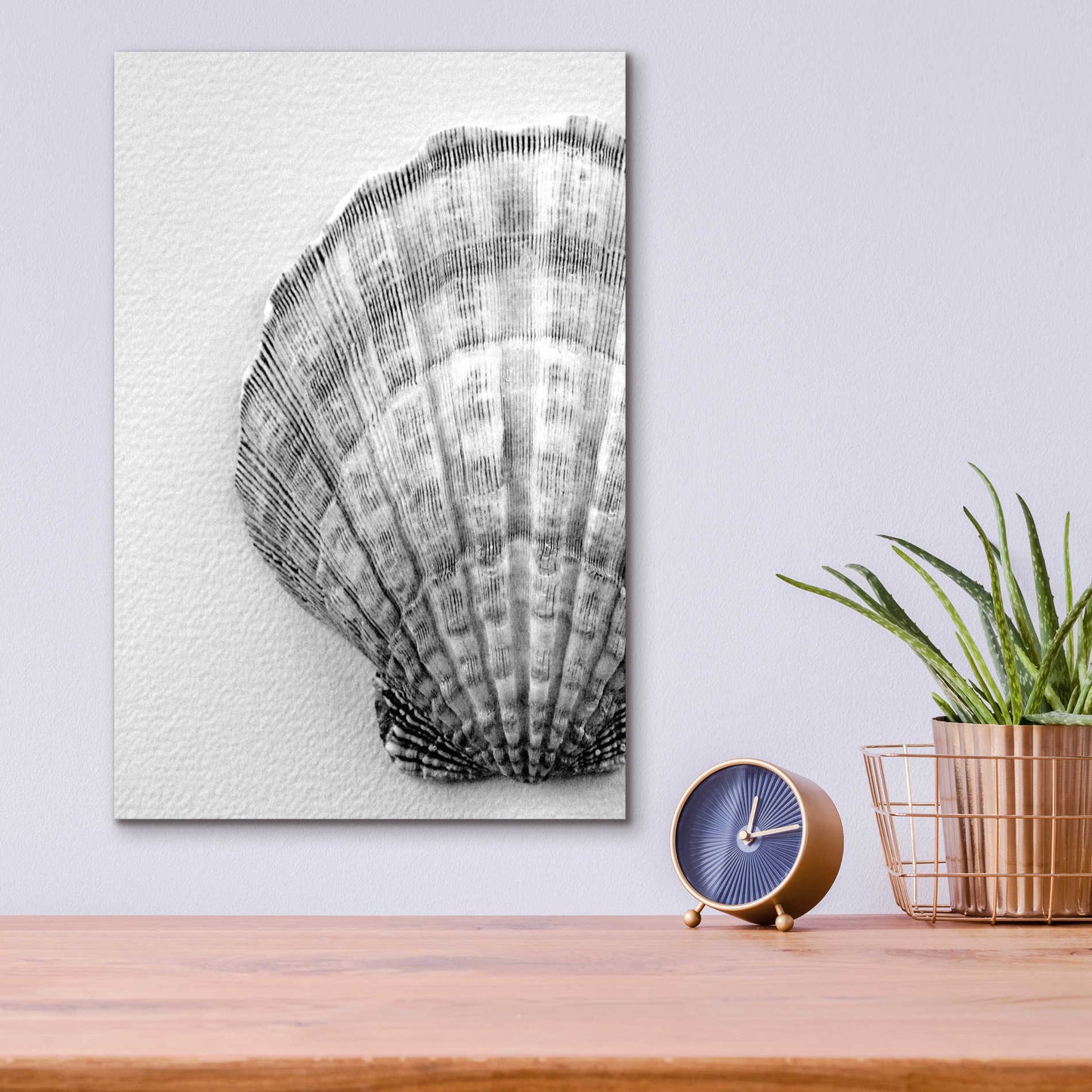 Epic Art 'On The Half Shell' by Debra Van Swearingen, Acrylic Glass Wall Art,12x16