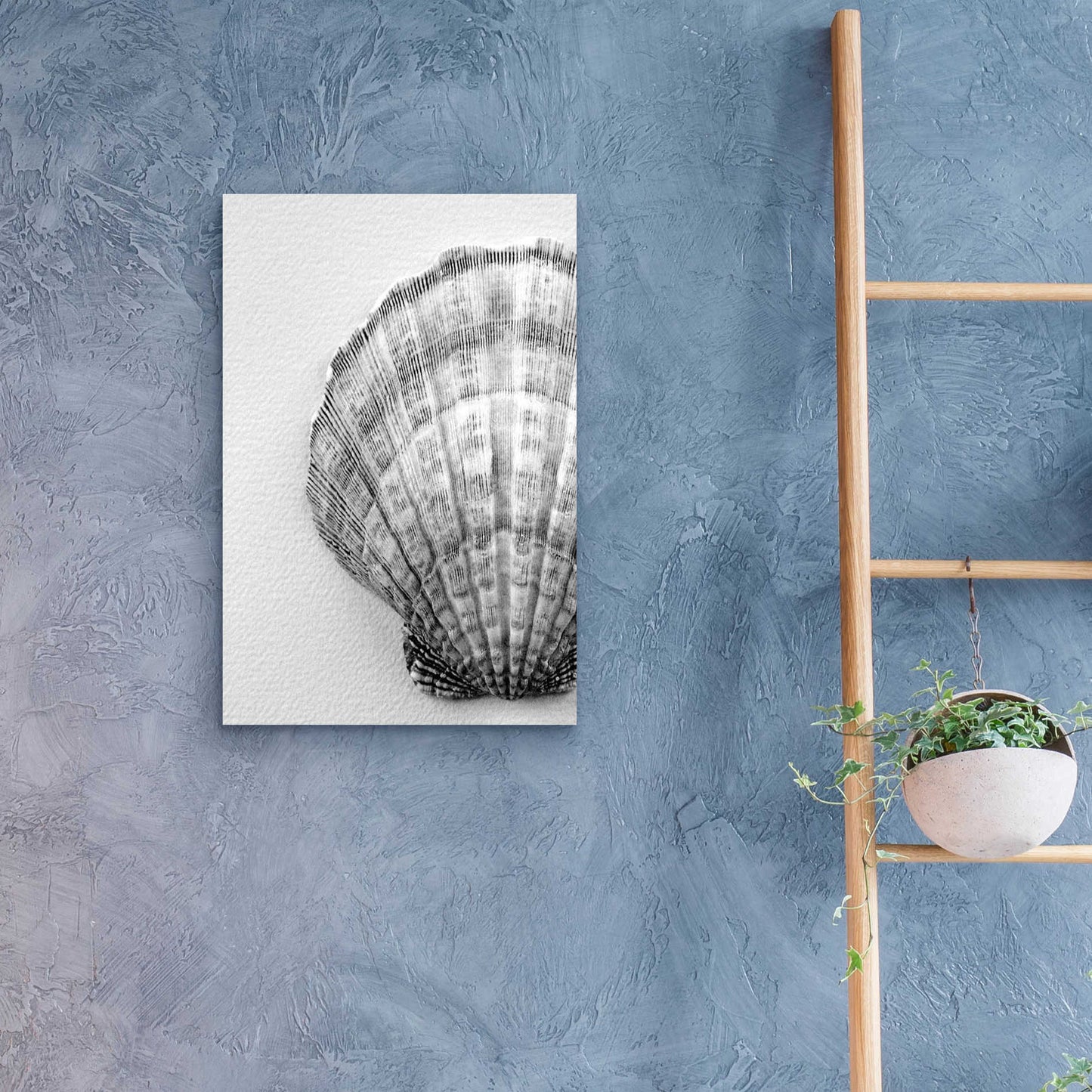 Epic Art 'On The Half Shell' by Debra Van Swearingen, Acrylic Glass Wall Art,16x24