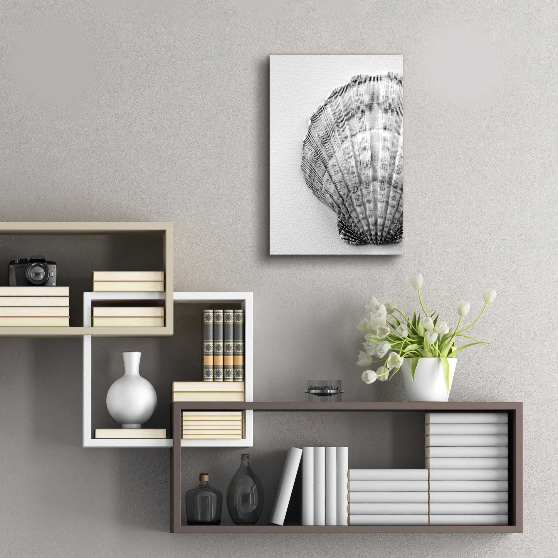 Epic Art 'On The Half Shell' by Debra Van Swearingen, Acrylic Glass Wall Art,16x24