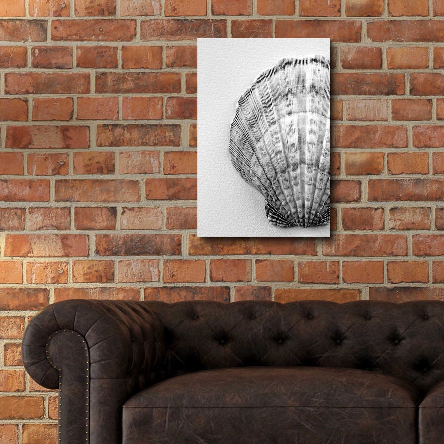 Epic Art 'On The Half Shell' by Debra Van Swearingen, Acrylic Glass Wall Art,16x24