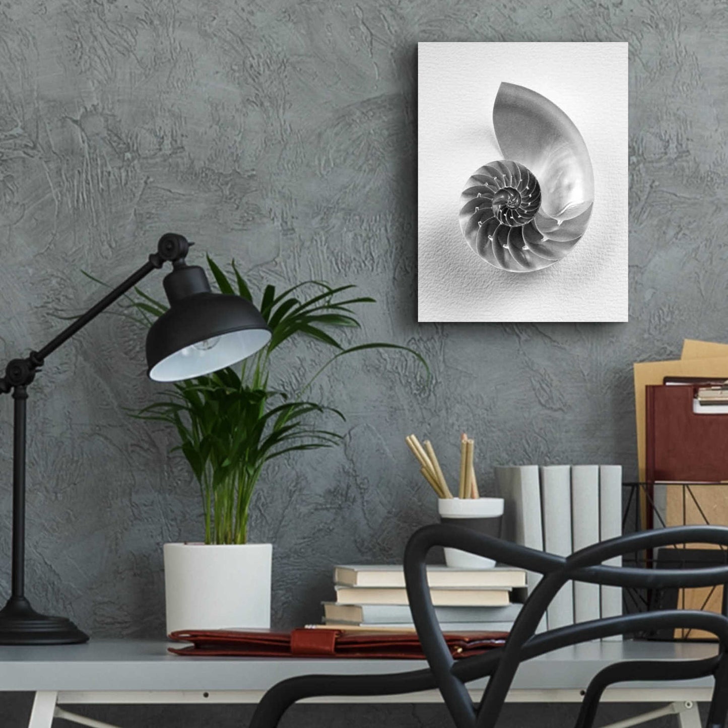 Epic Art 'Nautilus 4' by Debra Van Swearingen, Acrylic Glass Wall Art,12x16