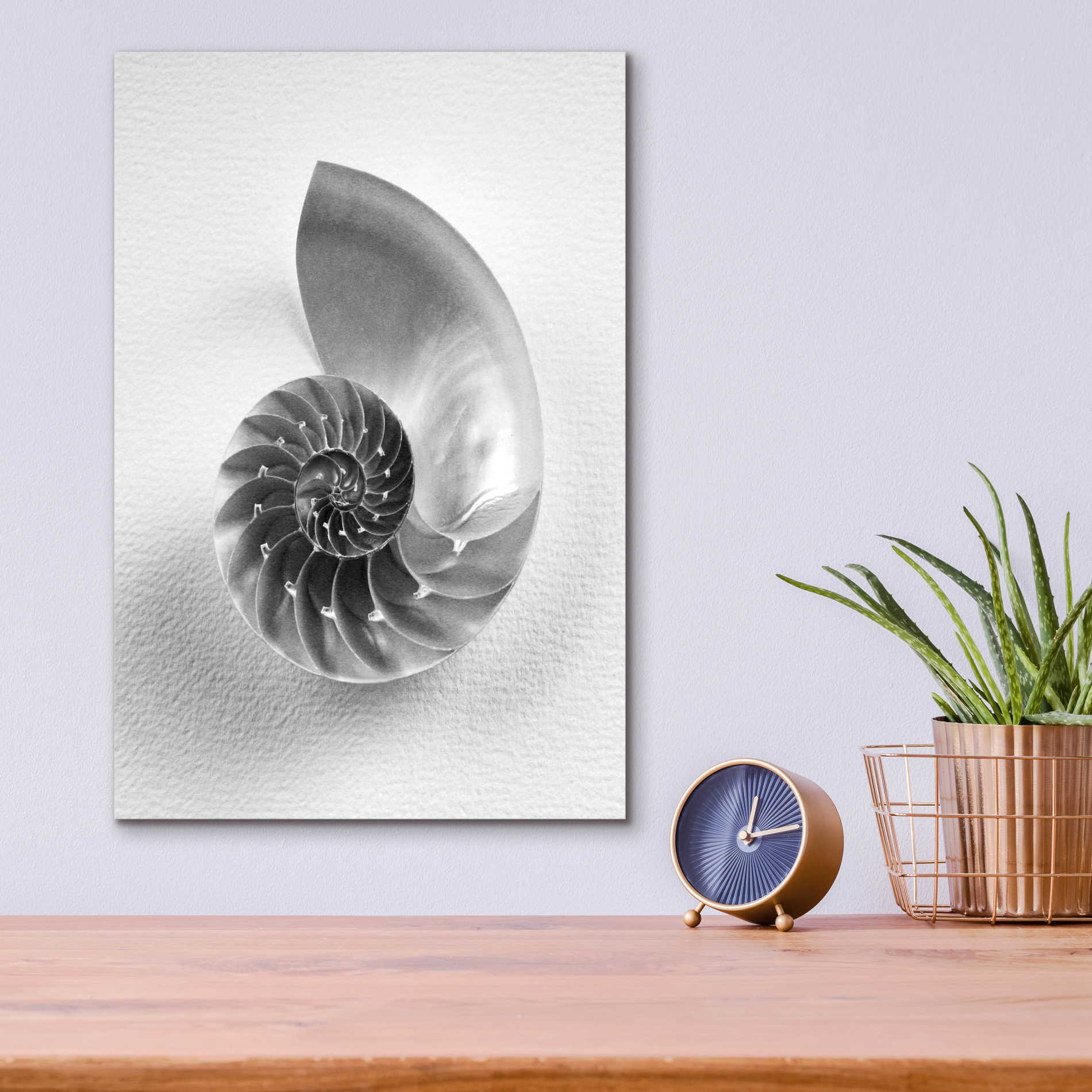 Epic Art 'Nautilus 4' by Debra Van Swearingen, Acrylic Glass Wall Art,12x16