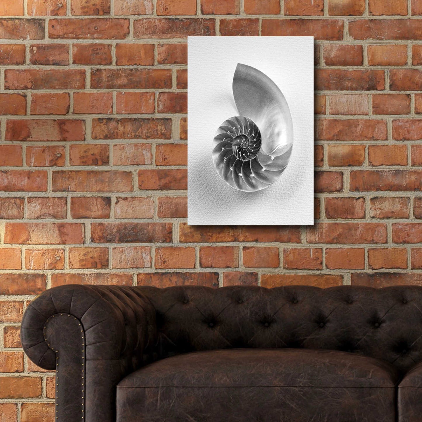 Epic Art 'Nautilus 4' by Debra Van Swearingen, Acrylic Glass Wall Art,16x24