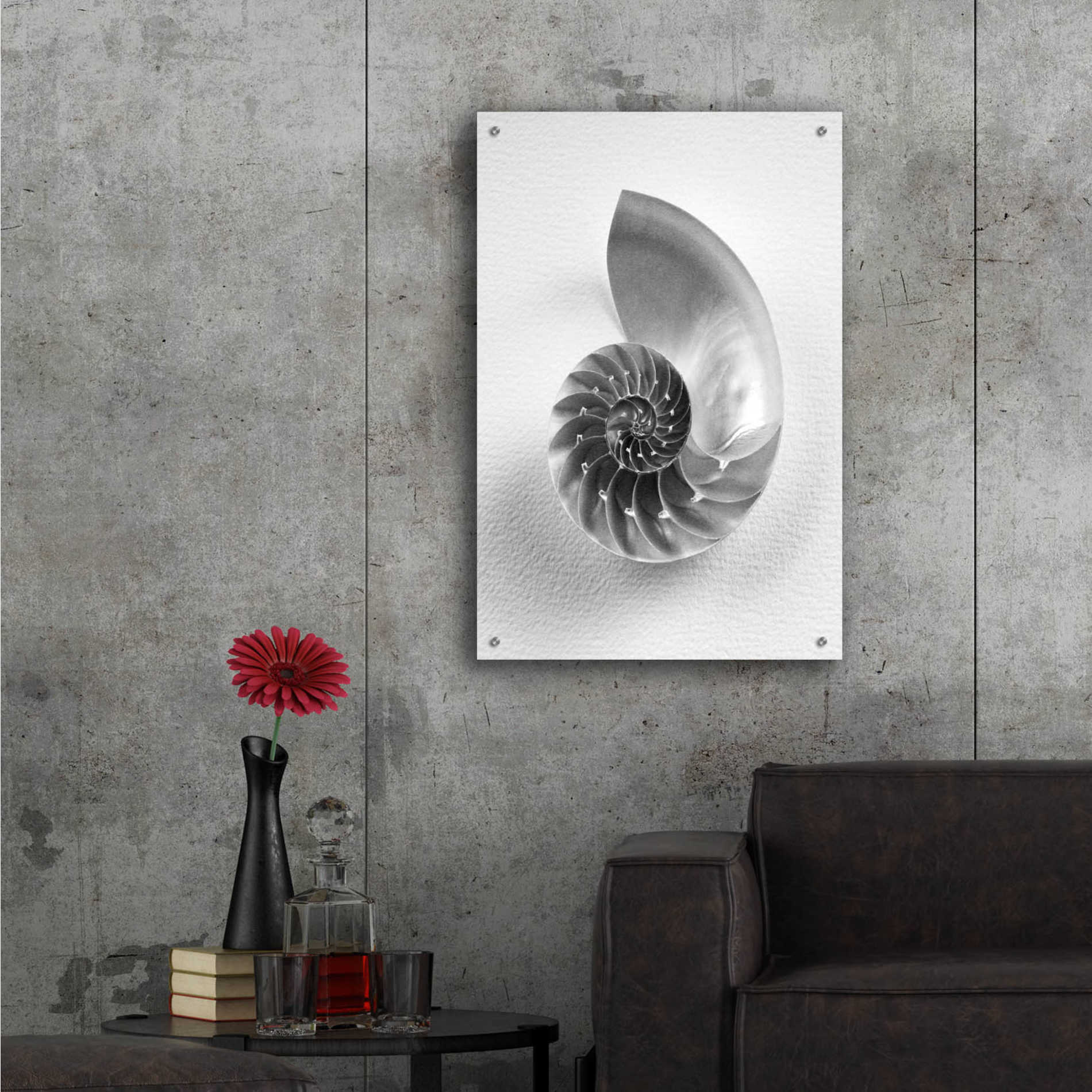 Epic Art 'Nautilus 4' by Debra Van Swearingen, Acrylic Glass Wall Art,24x36