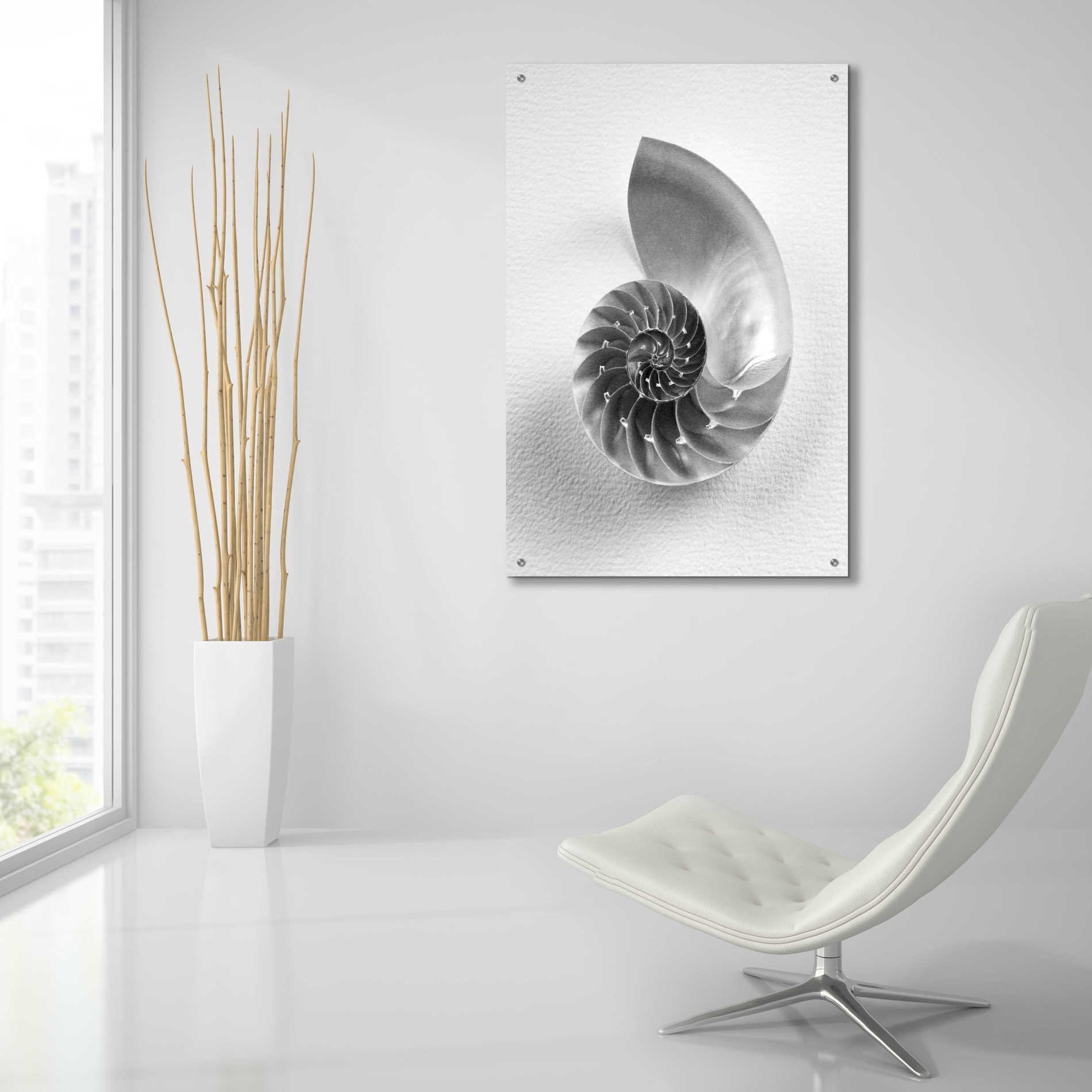 Epic Art 'Nautilus 4' by Debra Van Swearingen, Acrylic Glass Wall Art,24x36