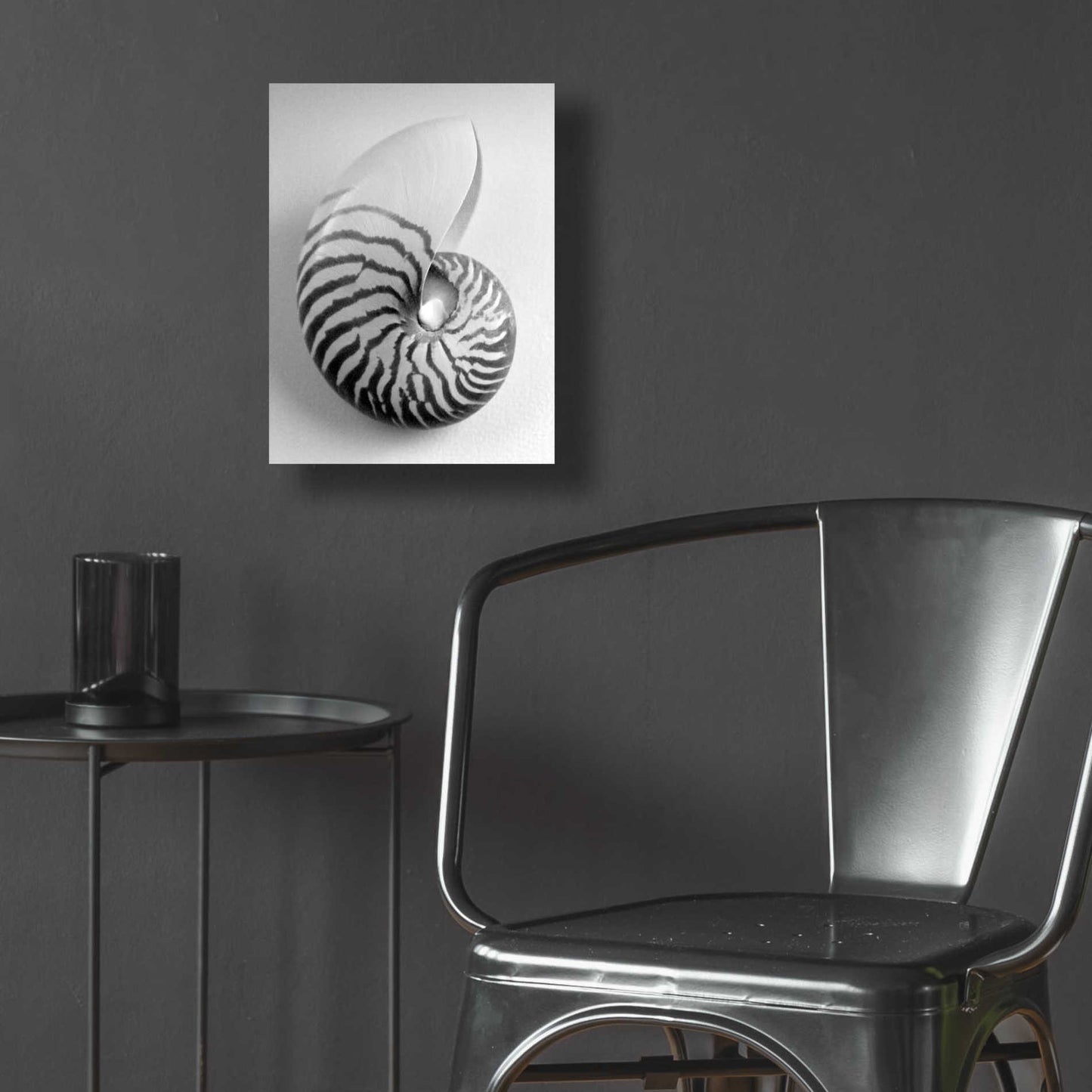 Epic Art 'Nautilus 2' by Debra Van Swearingen, Acrylic Glass Wall Art,12x16