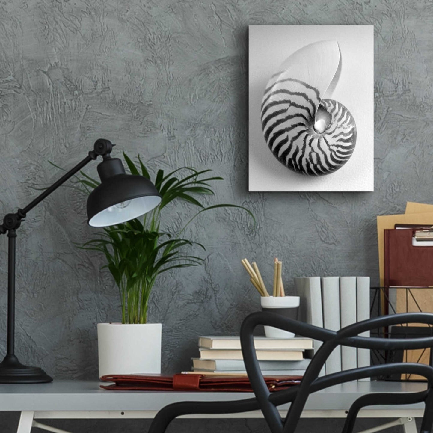 Epic Art 'Nautilus 2' by Debra Van Swearingen, Acrylic Glass Wall Art,12x16