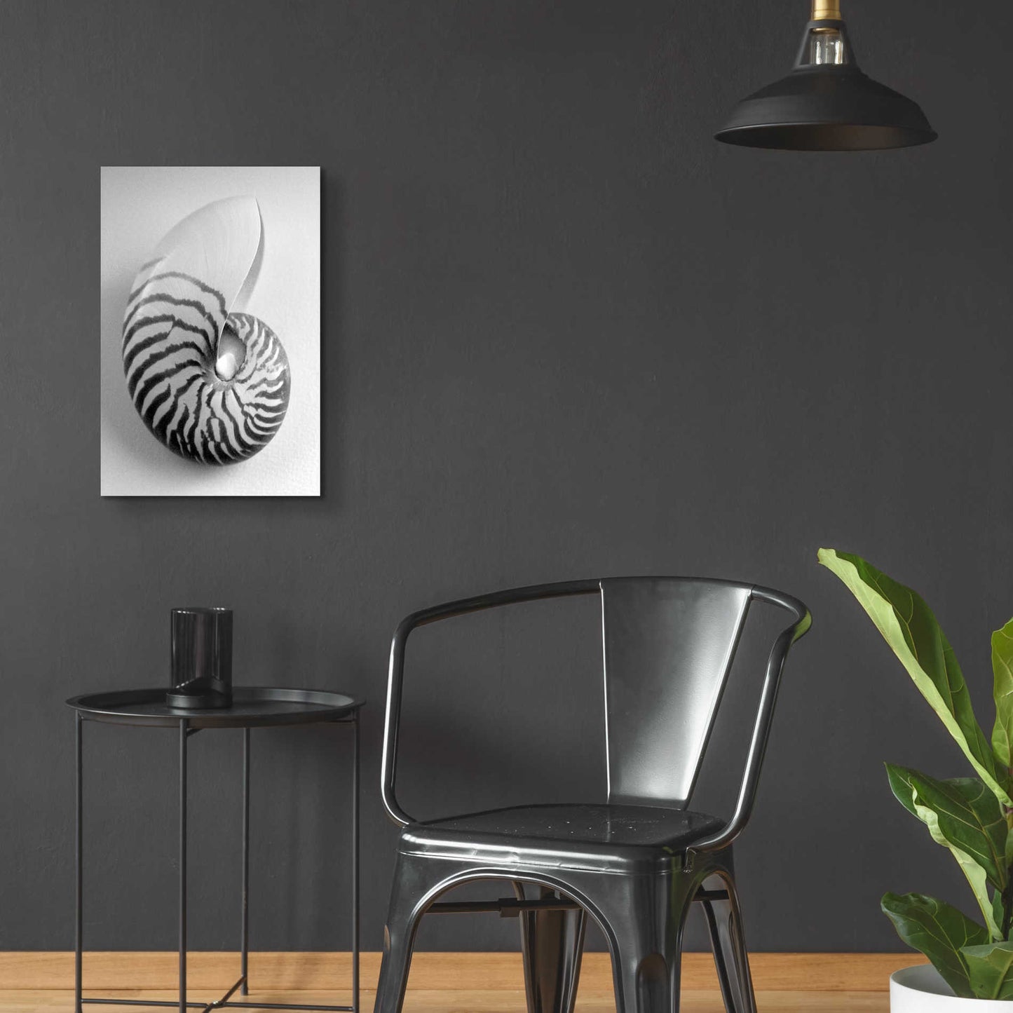 Epic Art 'Nautilus 2' by Debra Van Swearingen, Acrylic Glass Wall Art,16x24