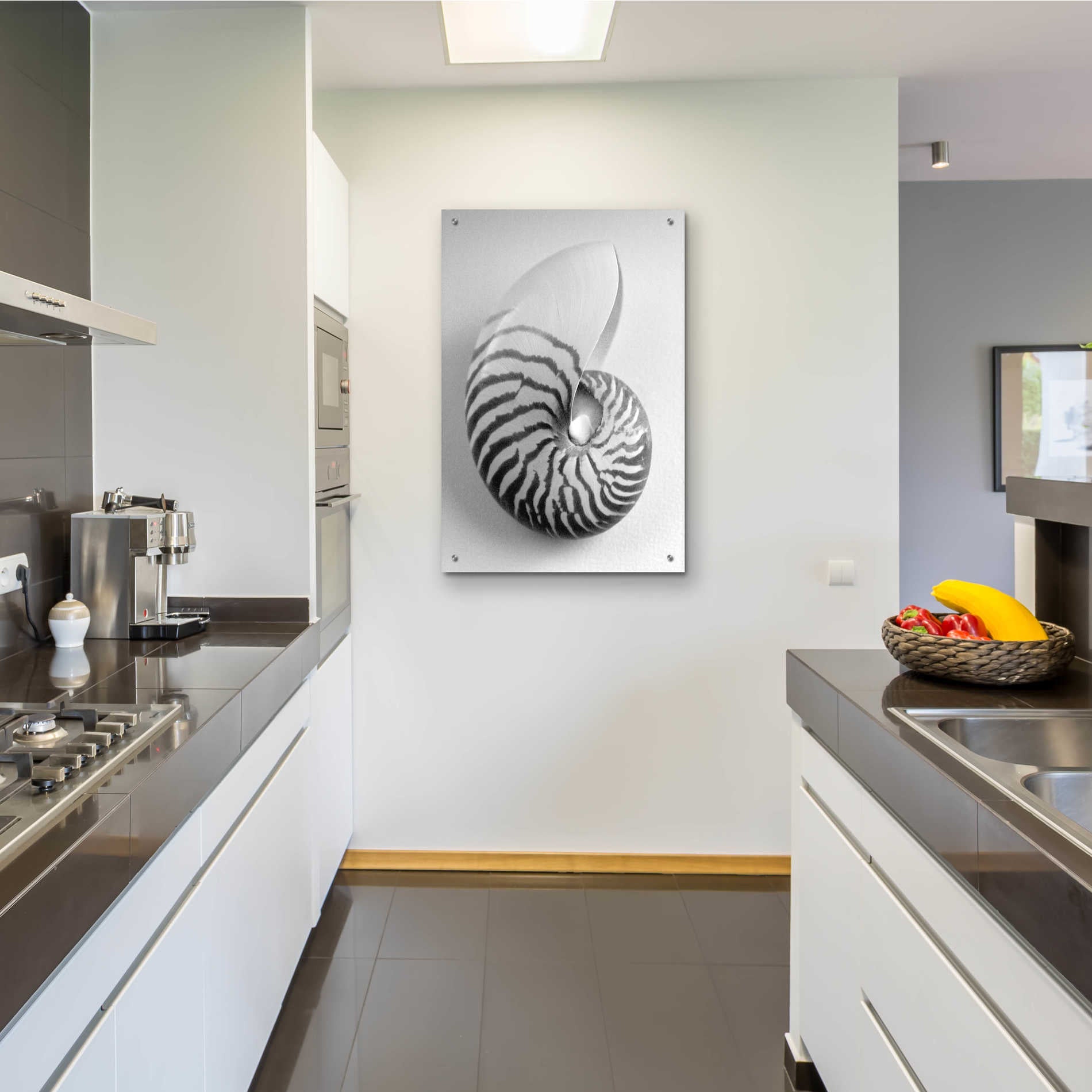 Epic Art 'Nautilus 2' by Debra Van Swearingen, Acrylic Glass Wall Art,24x36