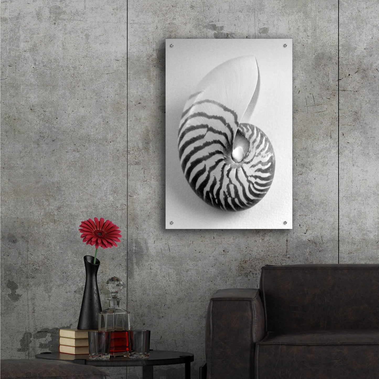 Epic Art 'Nautilus 2' by Debra Van Swearingen, Acrylic Glass Wall Art,24x36