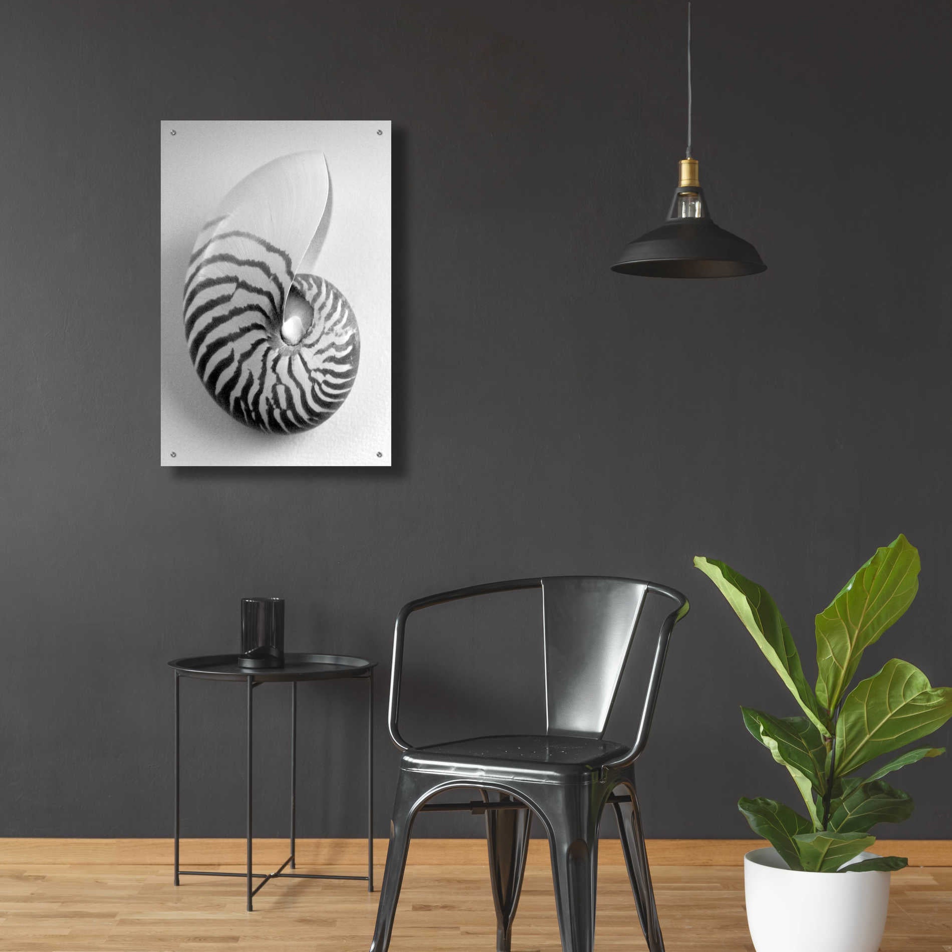 Epic Art 'Nautilus 2' by Debra Van Swearingen, Acrylic Glass Wall Art,24x36