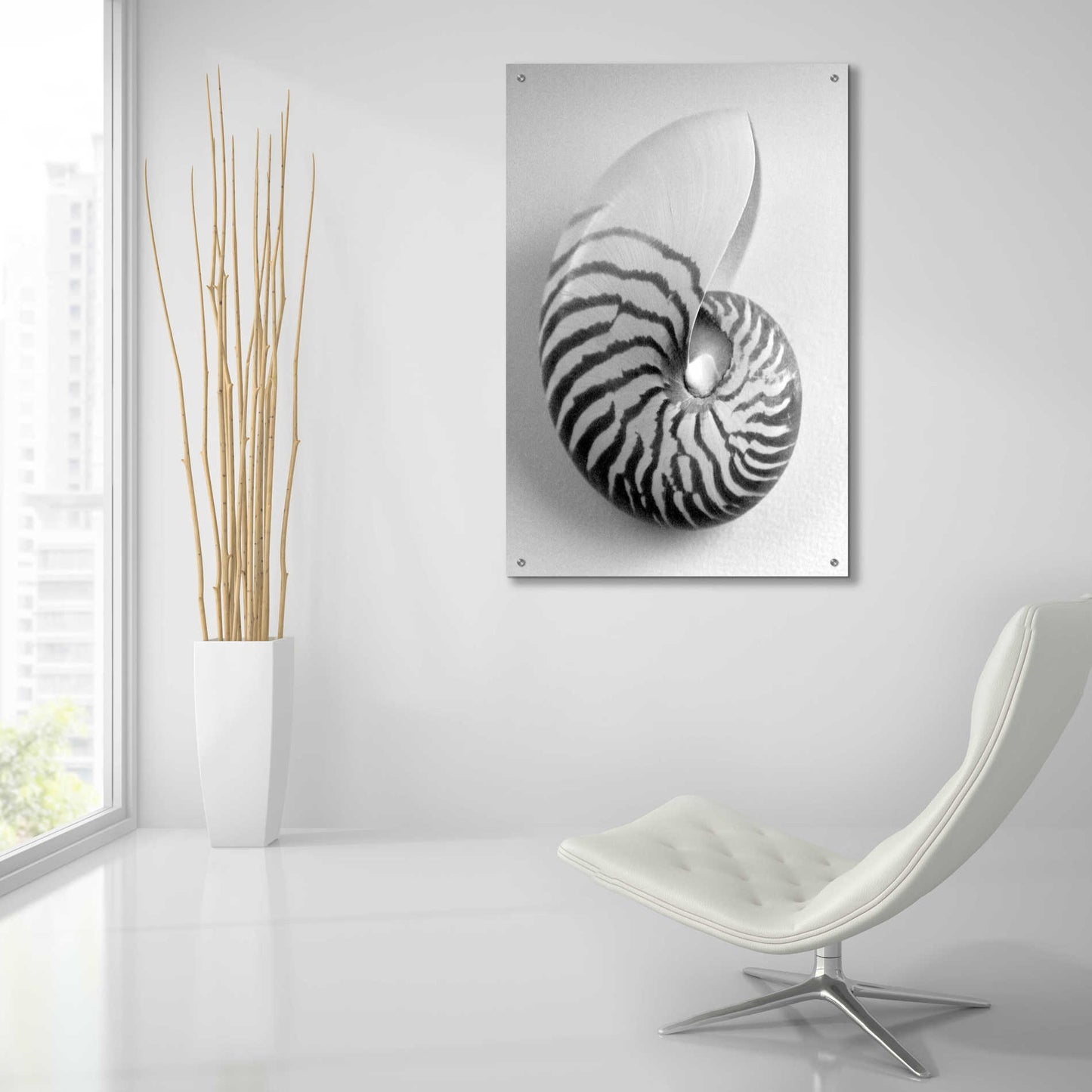 Epic Art 'Nautilus 2' by Debra Van Swearingen, Acrylic Glass Wall Art,24x36