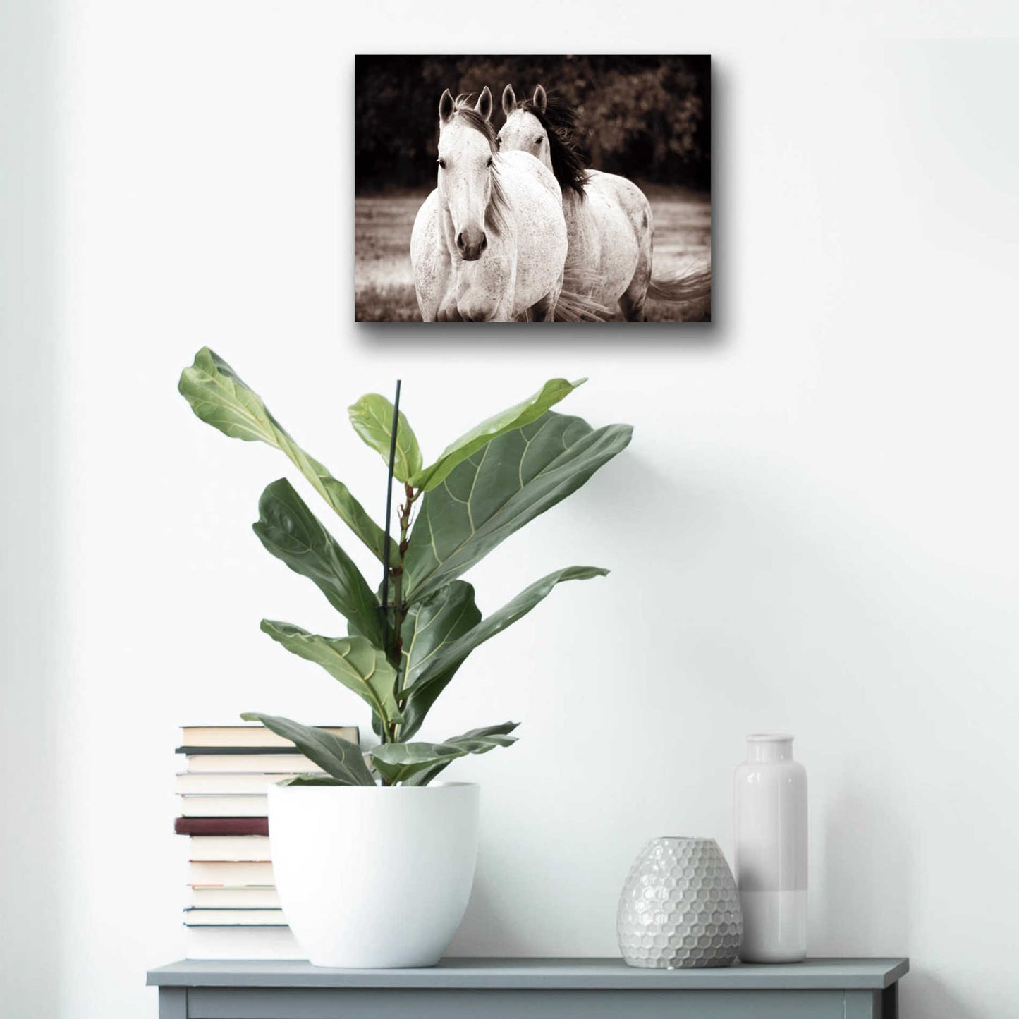 Epic Art 'Two Wild Horses Sepia' by Debra Van Swearingen, Acrylic Glass Wall Art,16x12