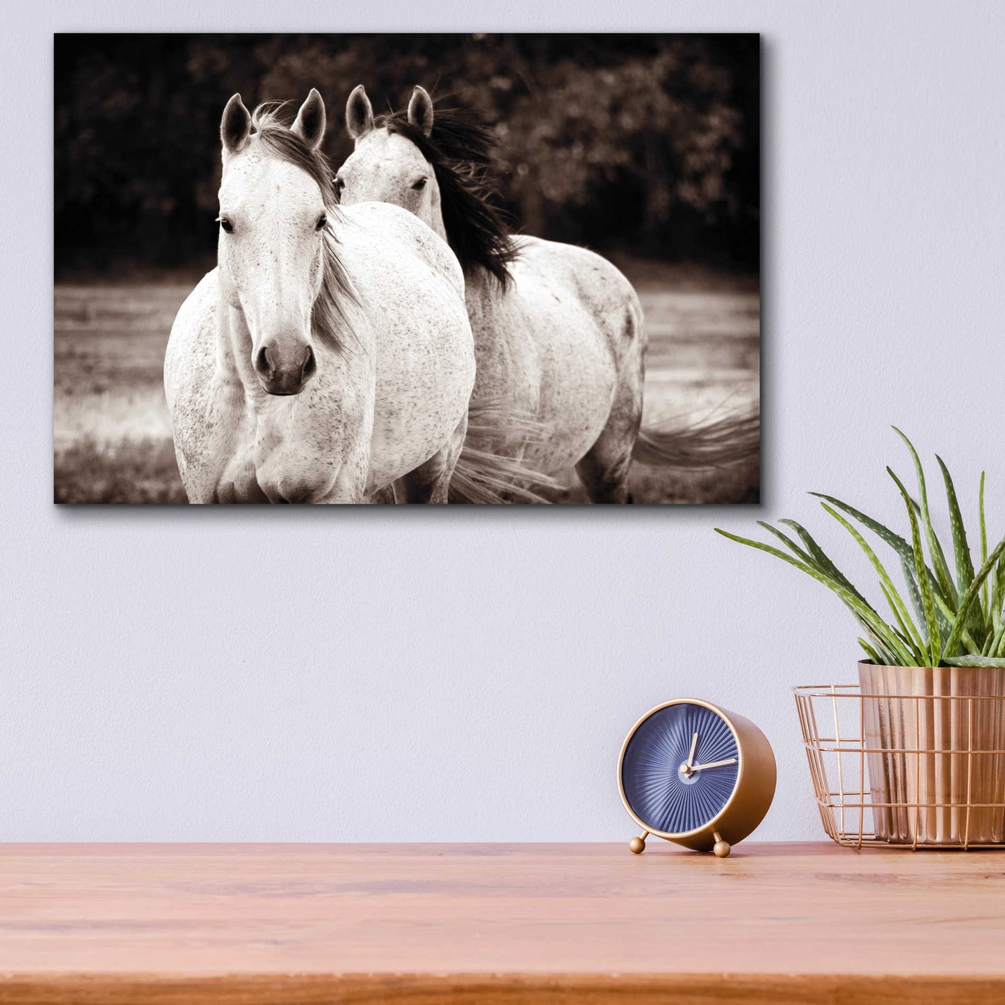 Epic Art 'Two Wild Horses Sepia' by Debra Van Swearingen, Acrylic Glass Wall Art,16x12