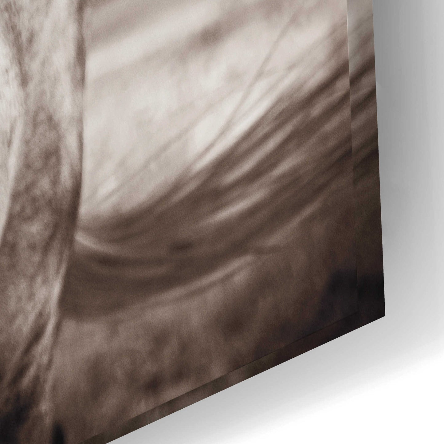 Epic Art 'Two Wild Horses Sepia' by Debra Van Swearingen, Acrylic Glass Wall Art,24x16