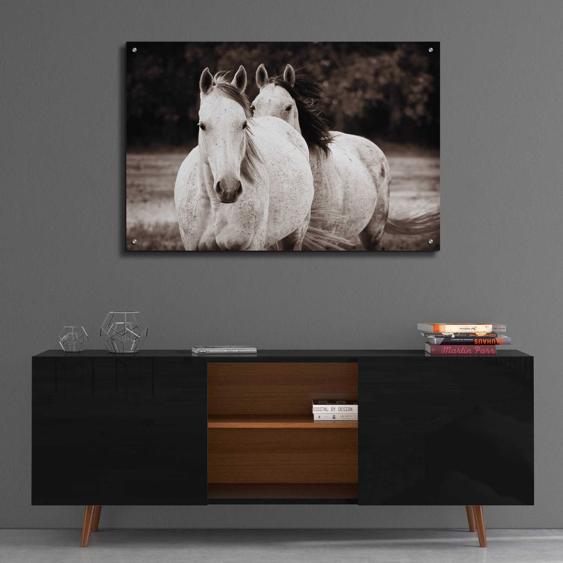 Epic Art 'Two Wild Horses Sepia' by Debra Van Swearingen, Acrylic Glass Wall Art,36x24